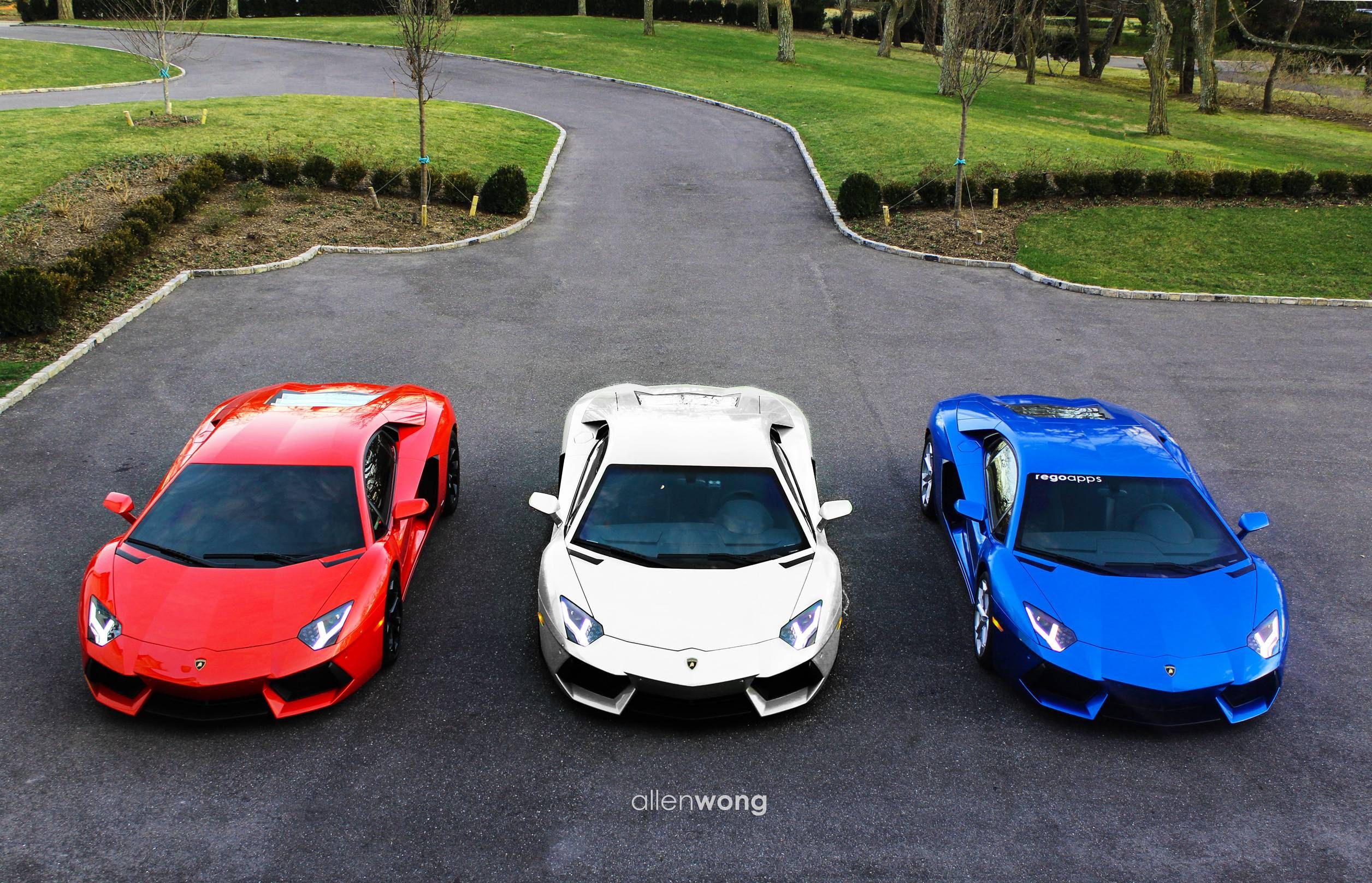 Red, White & Blue Lamborghini | Lamborghini | Pinterest ...