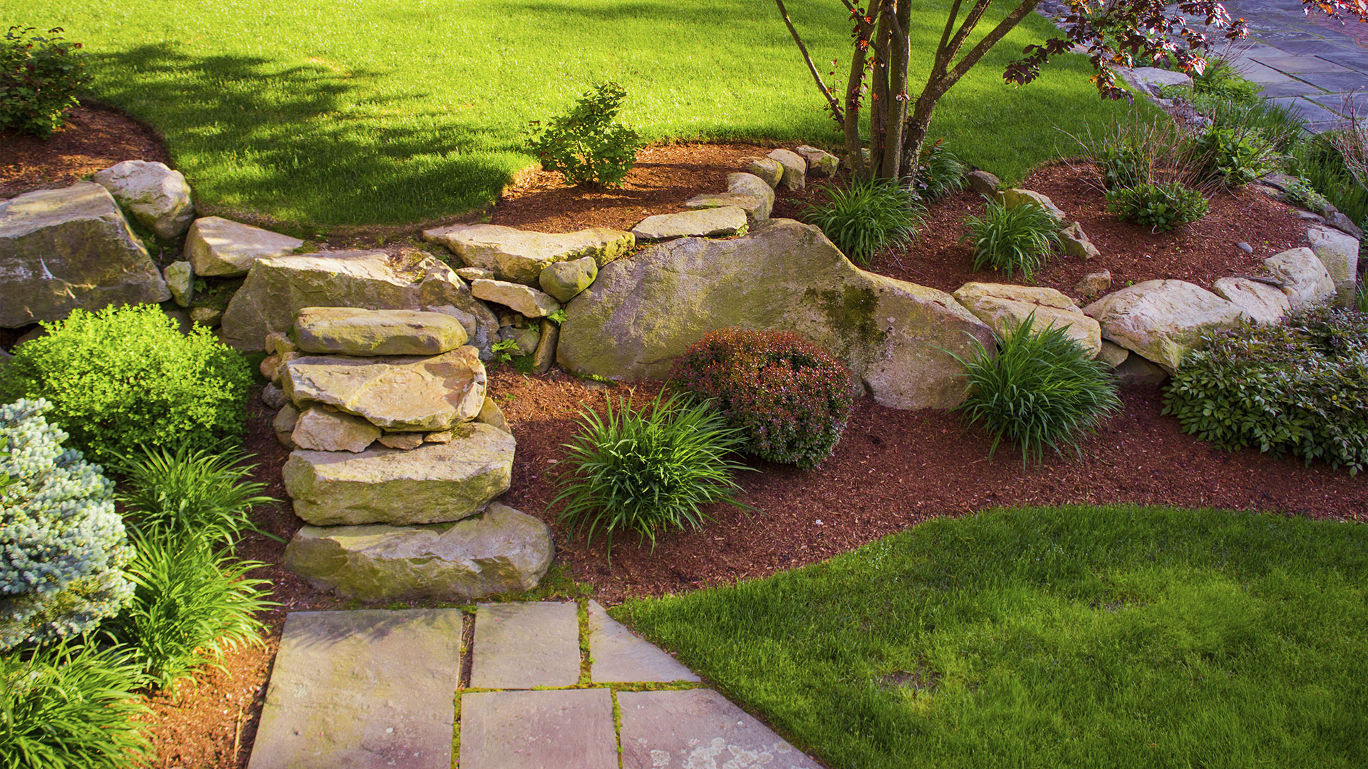 Tree Services, Irrigation and Landscape Design in McKinney, Plano ...
