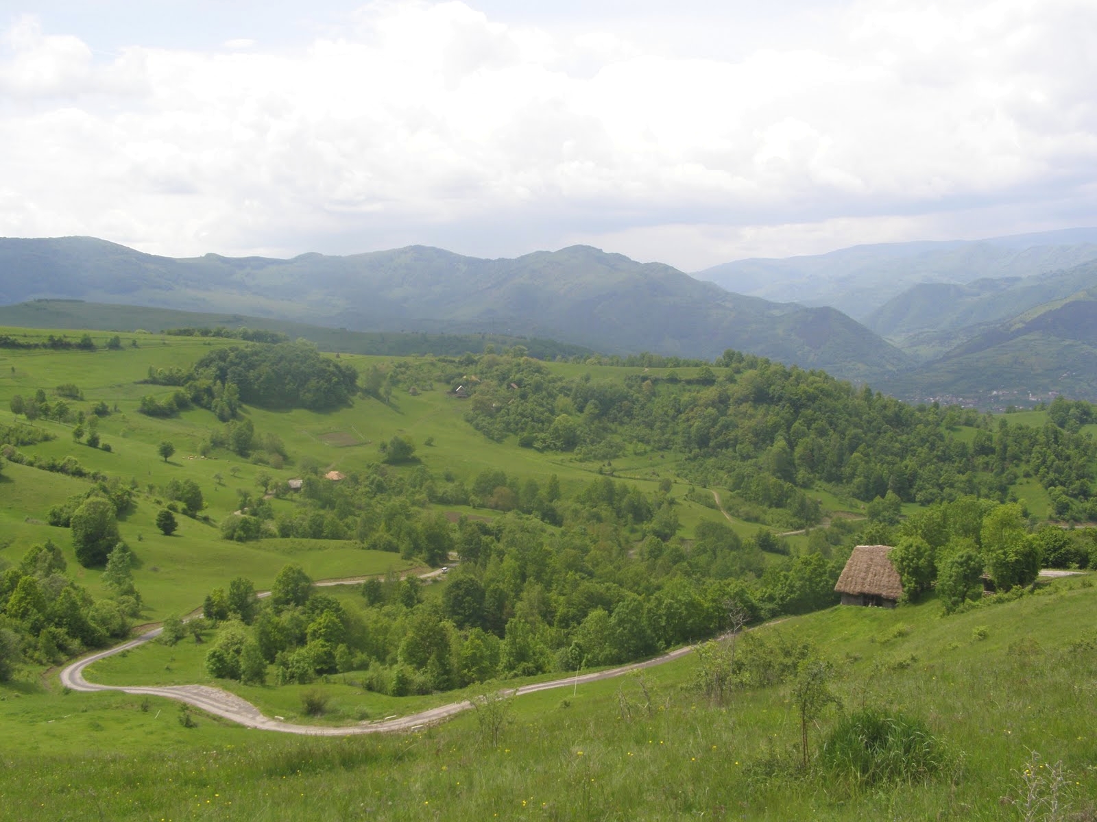 Salciua Apuseni mountains Transylvania landscape Romania pictures ...