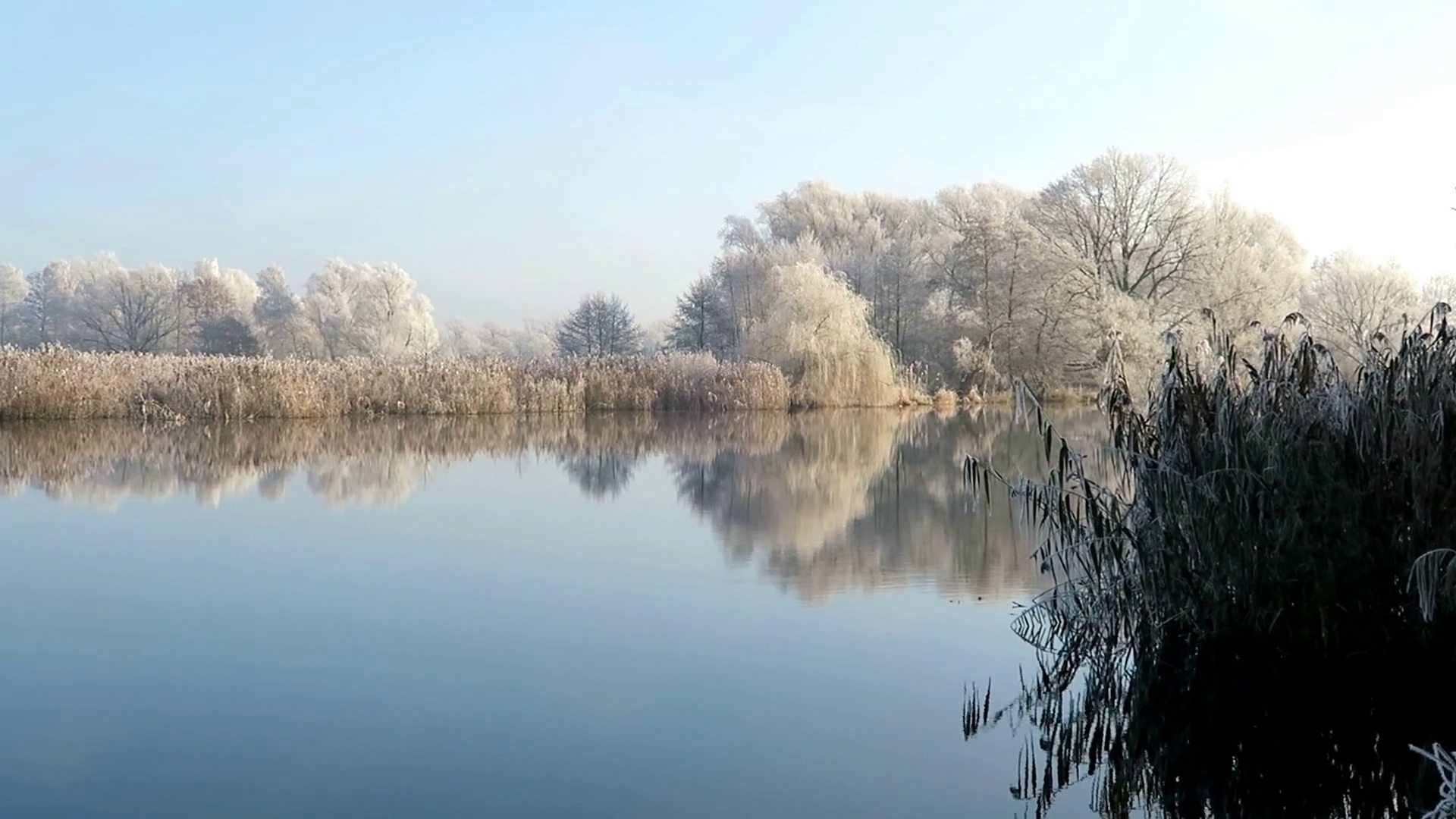 Morning hours with rime frost landscape at Havel river (Havelland ...