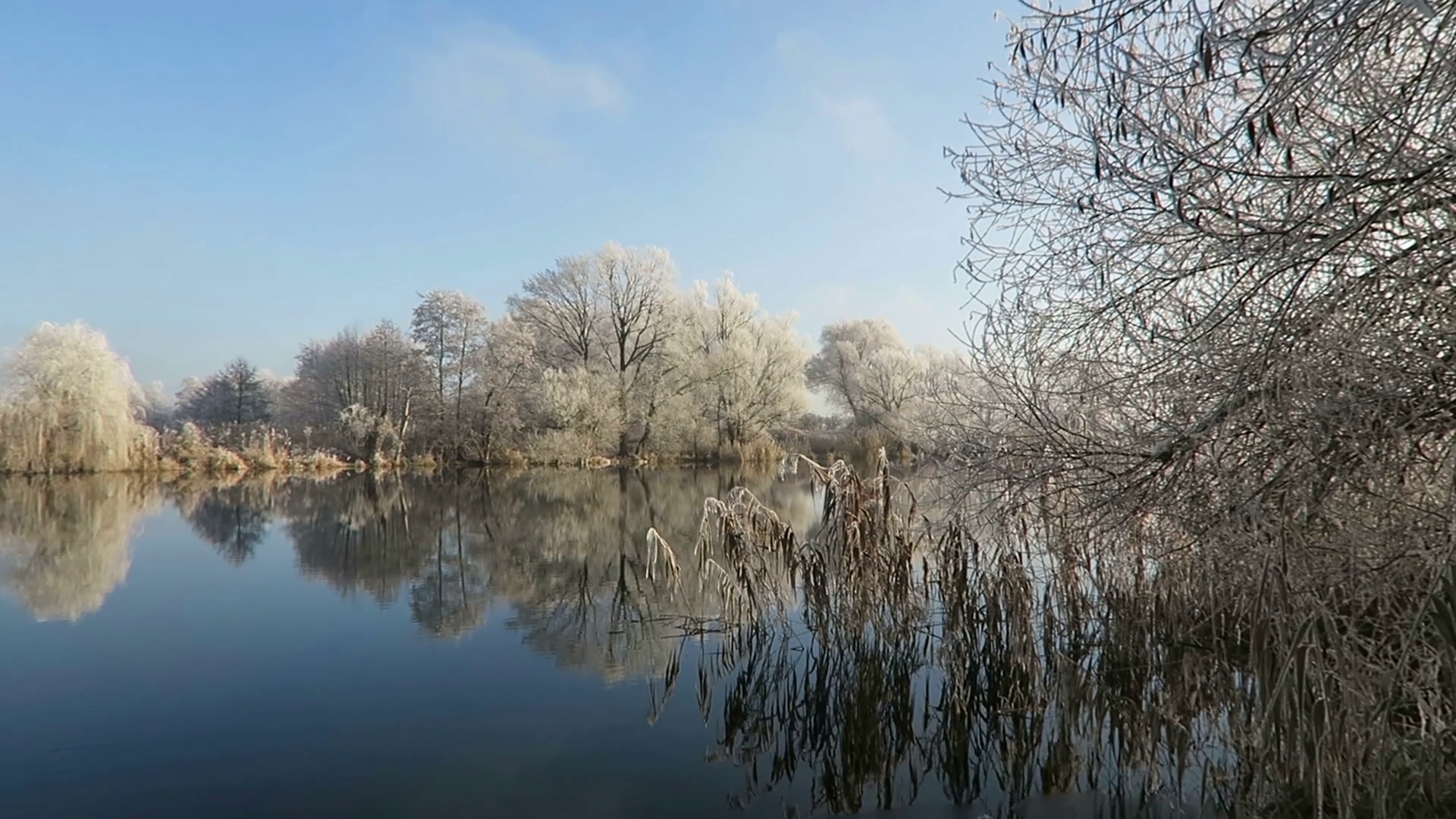 Morning hours with rime frost landscape at Havel river (Havelland ...