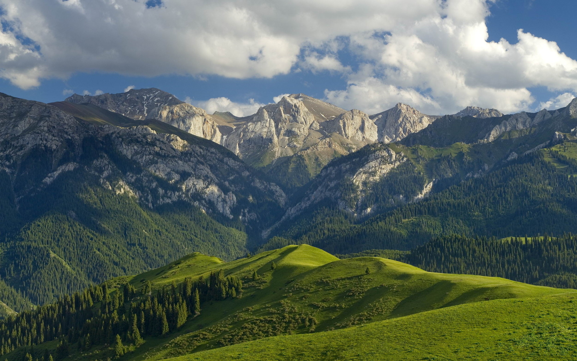 Landscape of mountain photo