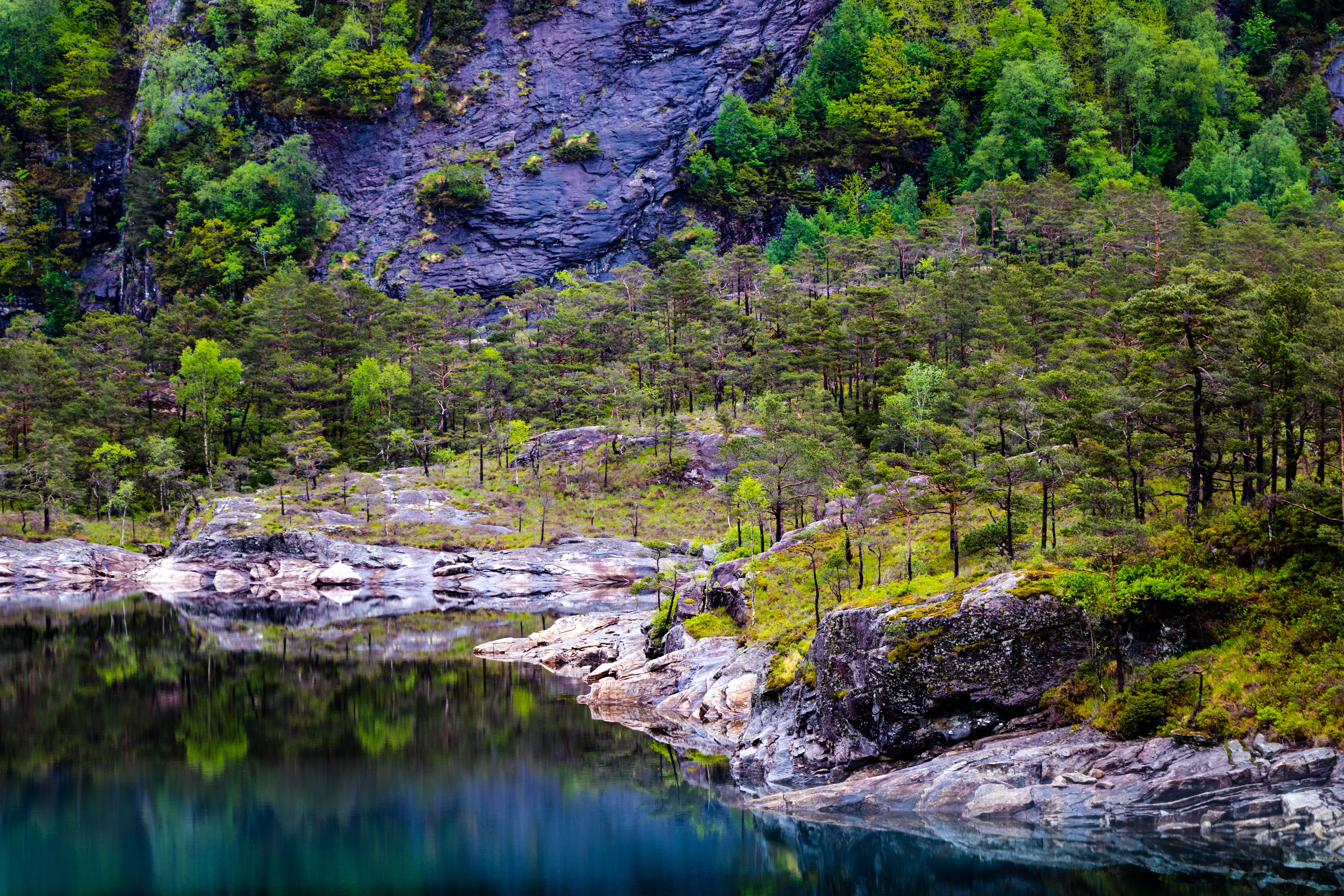 Landscape Photography of Lake and Trees, Amazing, Rock, Trees, Travel, HQ Photo
