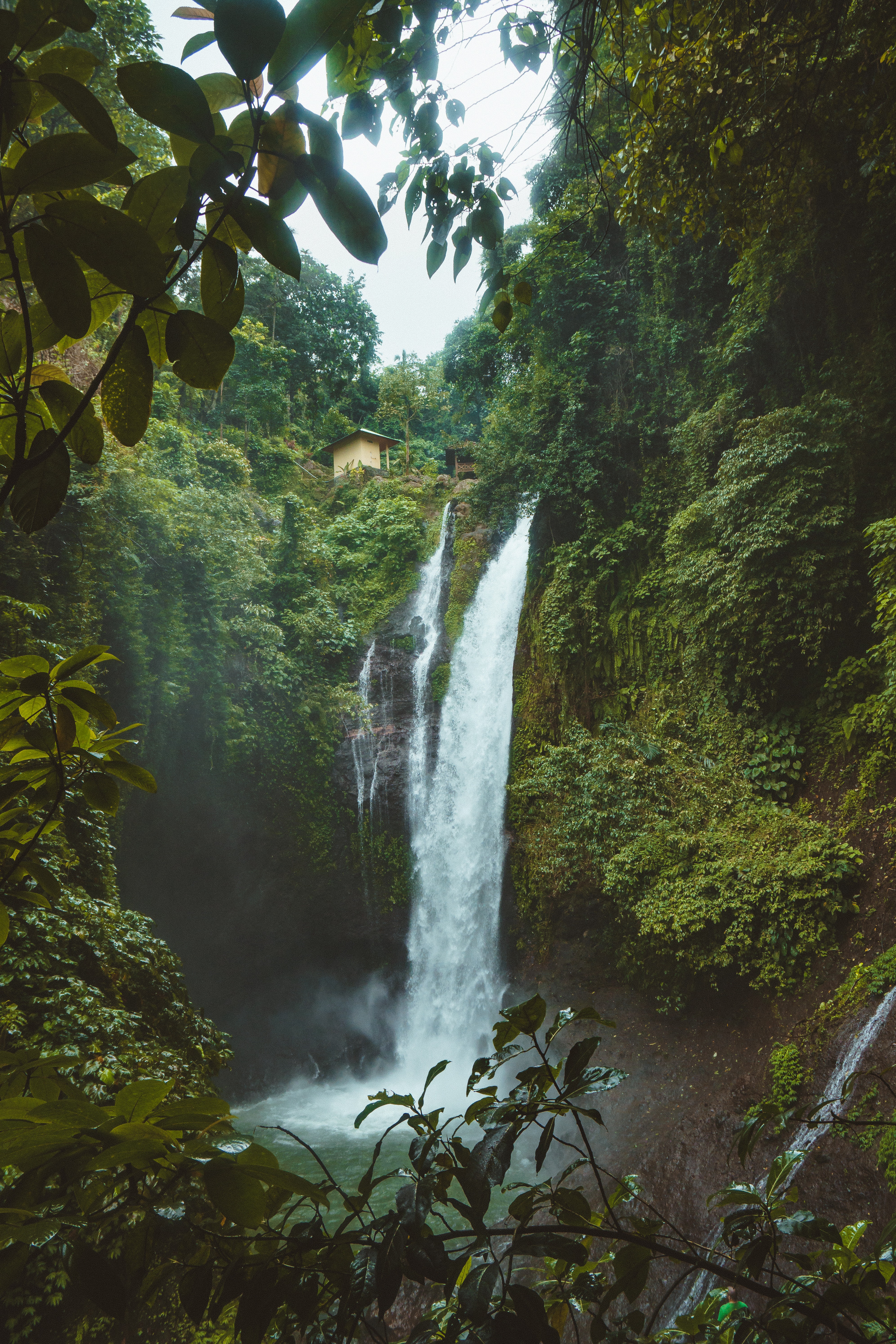 Landscape Photography of Waterfalls Surrounded by Green Leafed Plants, Adventure, Outdoors, Waterfall, Water, HQ Photo
