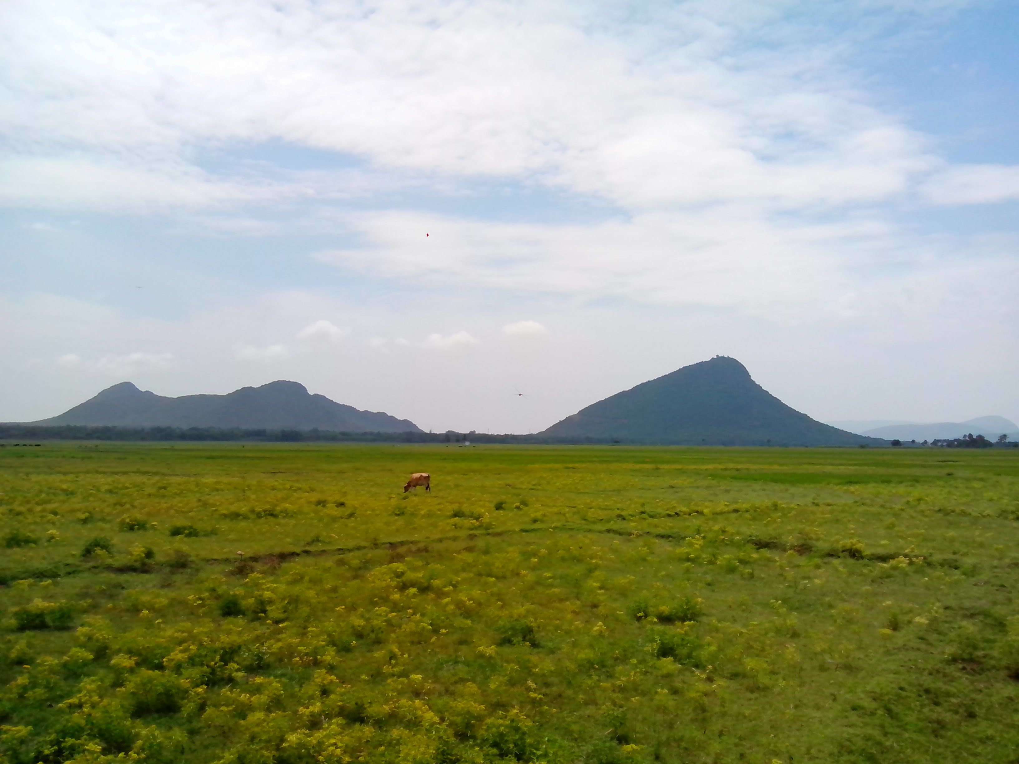 File:Landscape View at Potnuru Village.jpg - Wikimedia Commons