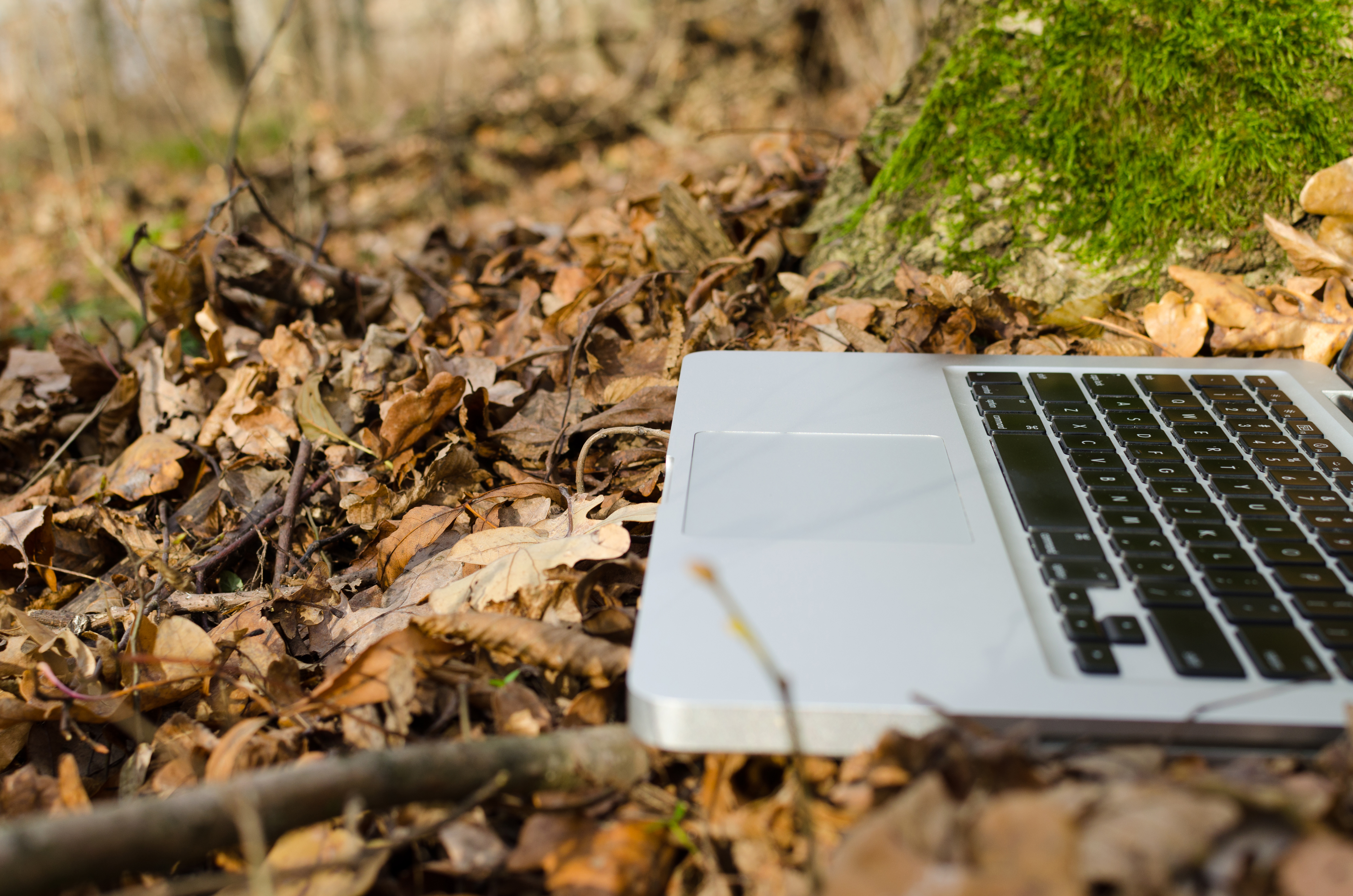 Laptop Closeup in Forest, Autumn, Protection, Notebook, Object, HQ Photo