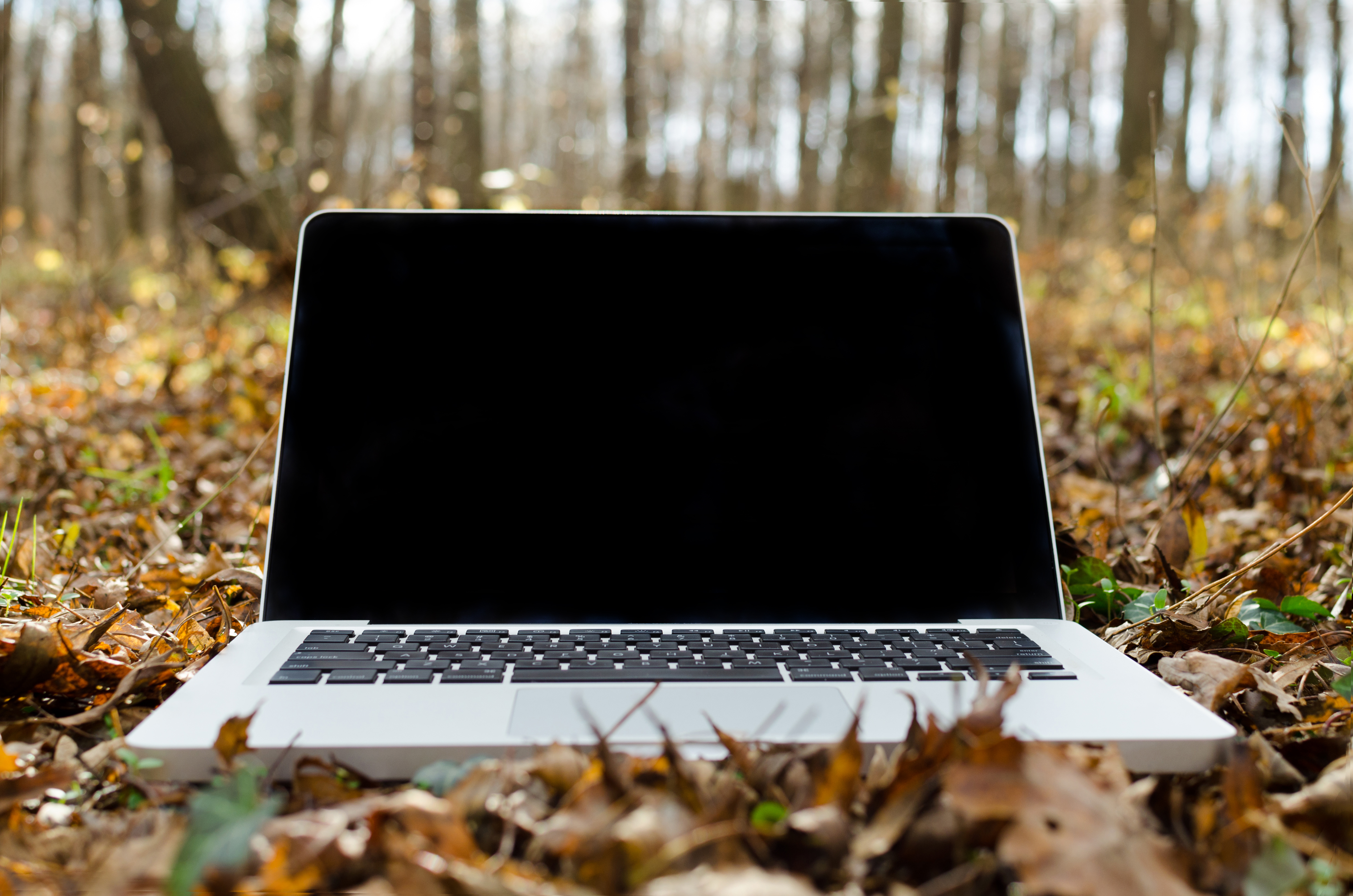 Laptop with black screen on forest floor photo