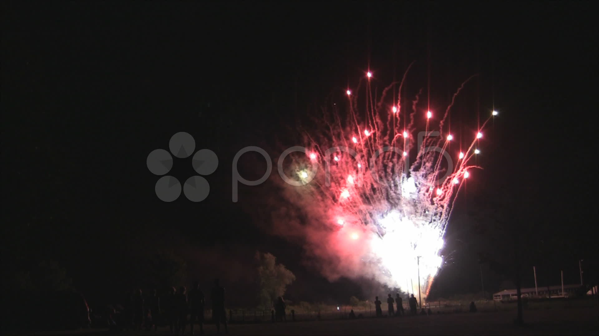 Stock Footage - Fireworks, large colorful spray, shows silhouette of ...