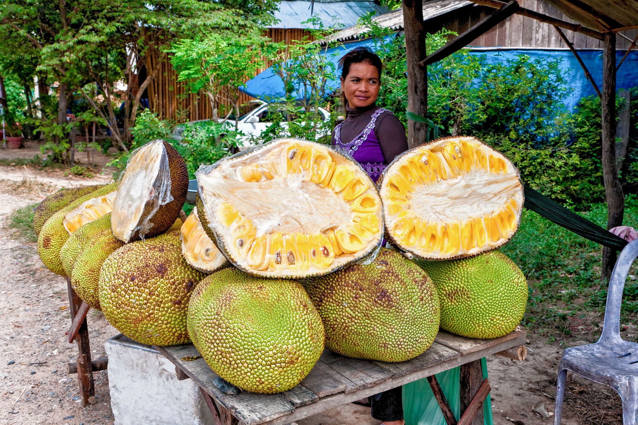 Large jackfruit photo