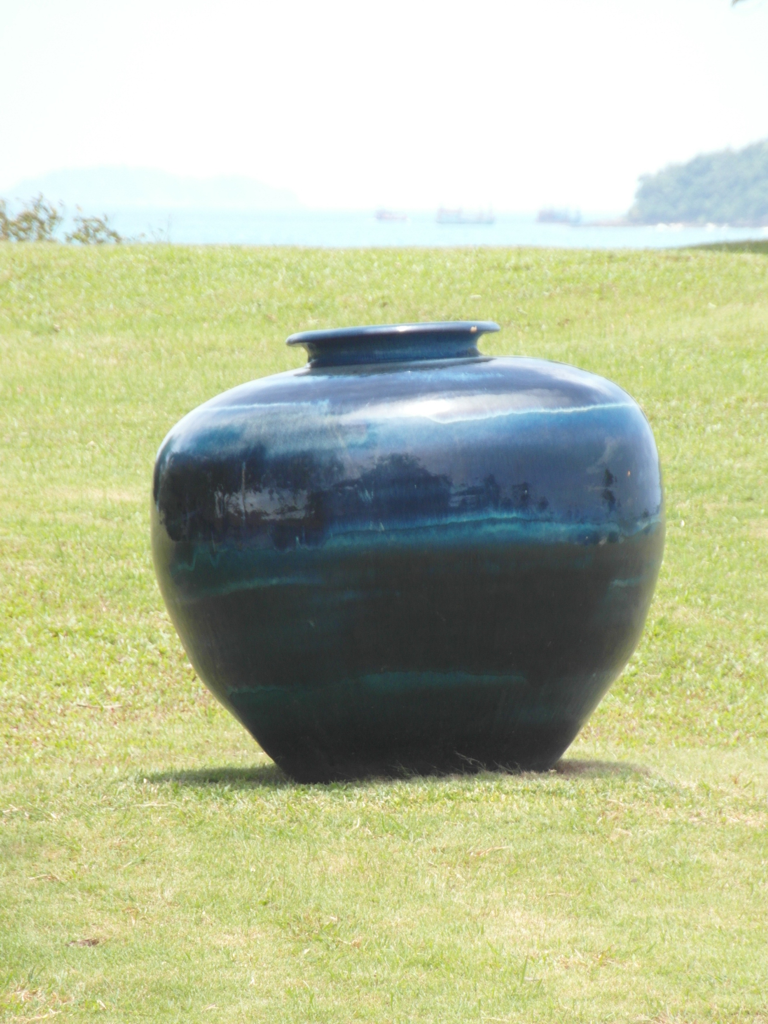 Large vase in ocean garden photo
