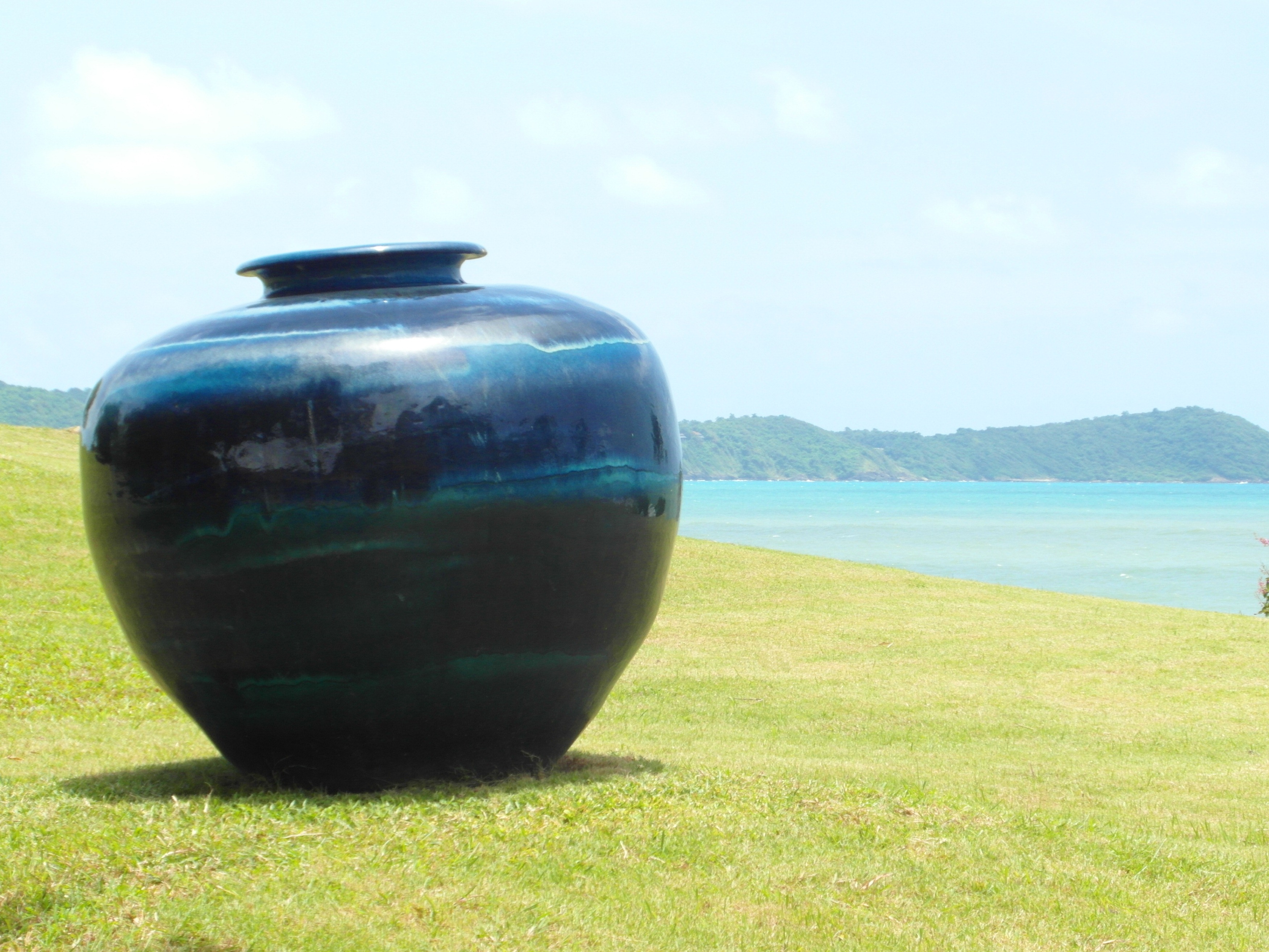 Large vase in ocean garden photo
