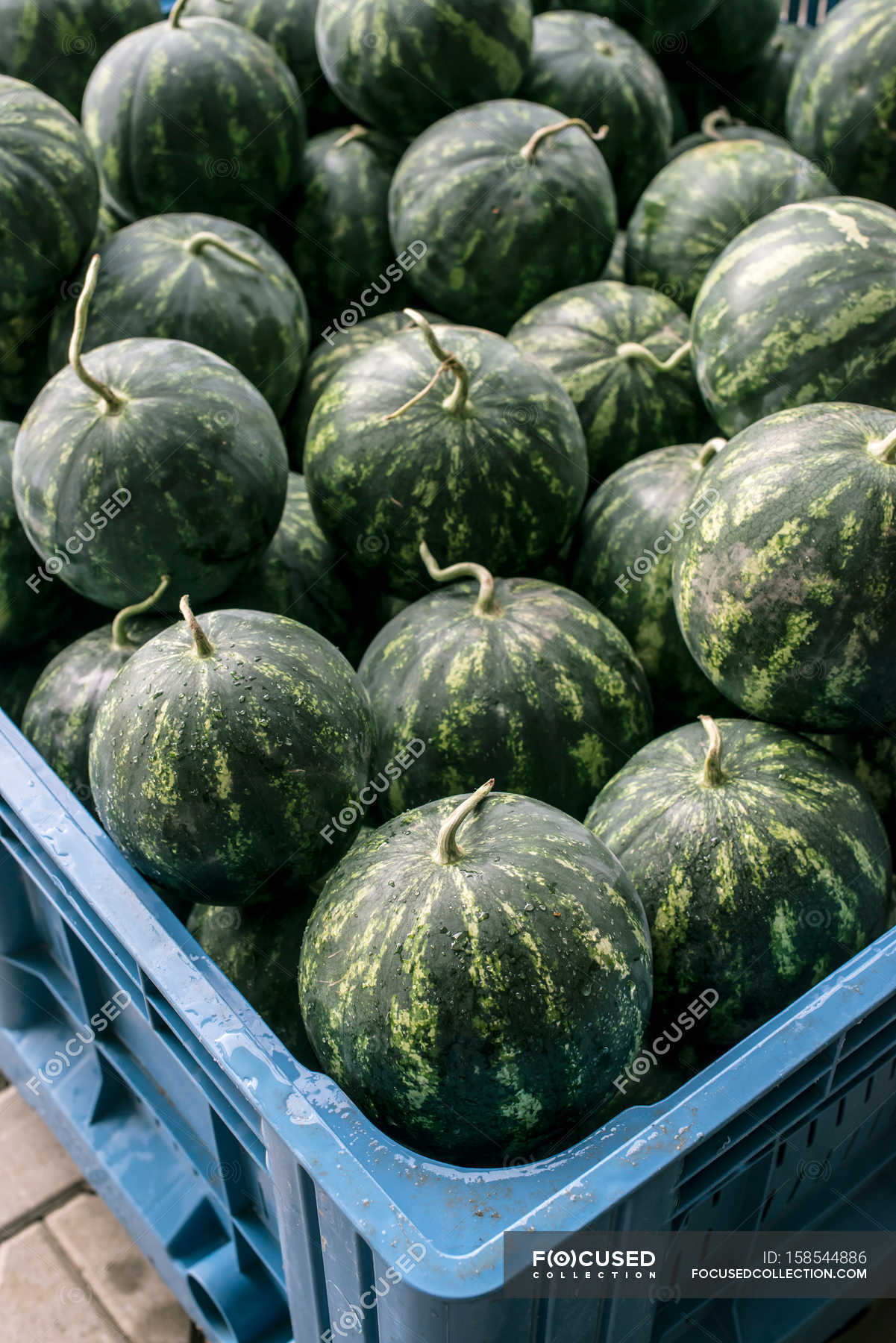 Watermelons in large crate — Stock Photo | #158544886