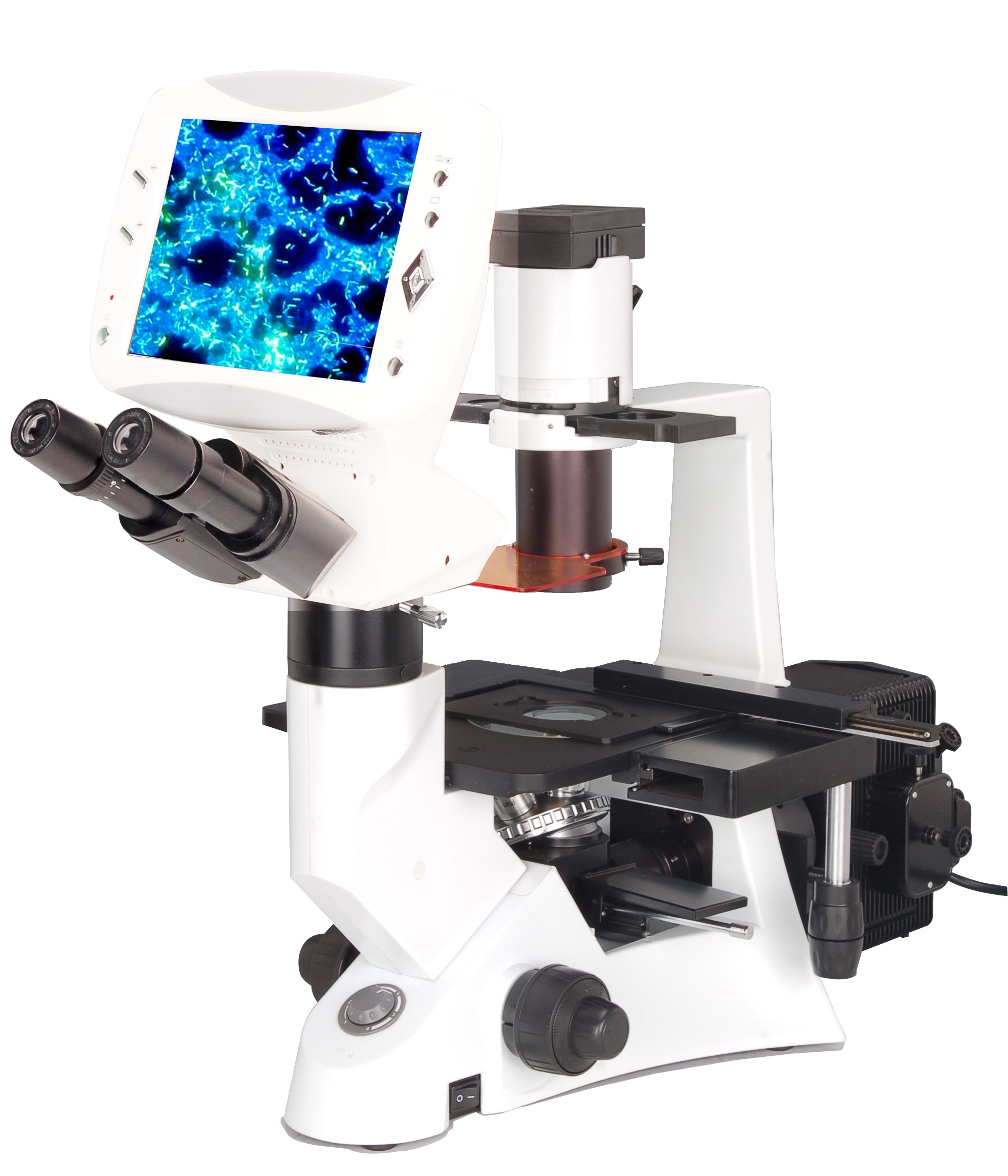 BIM500FLD Digital LCD Inverted Epi-Fluorescnce Biological Microscope ...