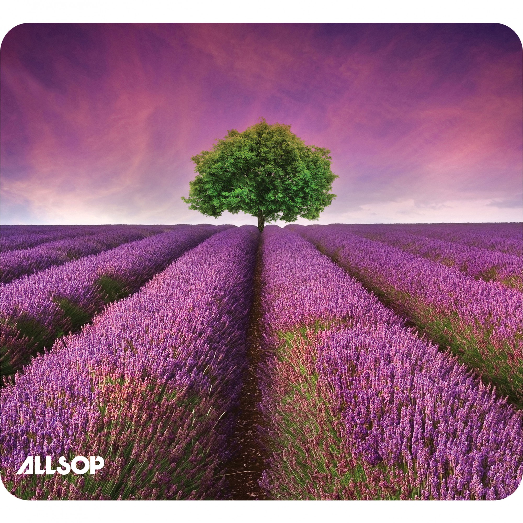 NatureSmart Image Mousepad – Lavender Field- (31422) – Allsop
