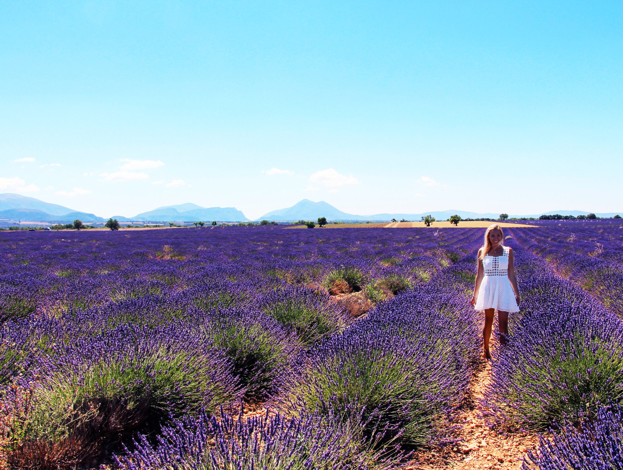 The Lavender Fields of Provence, France - JetsetChristina