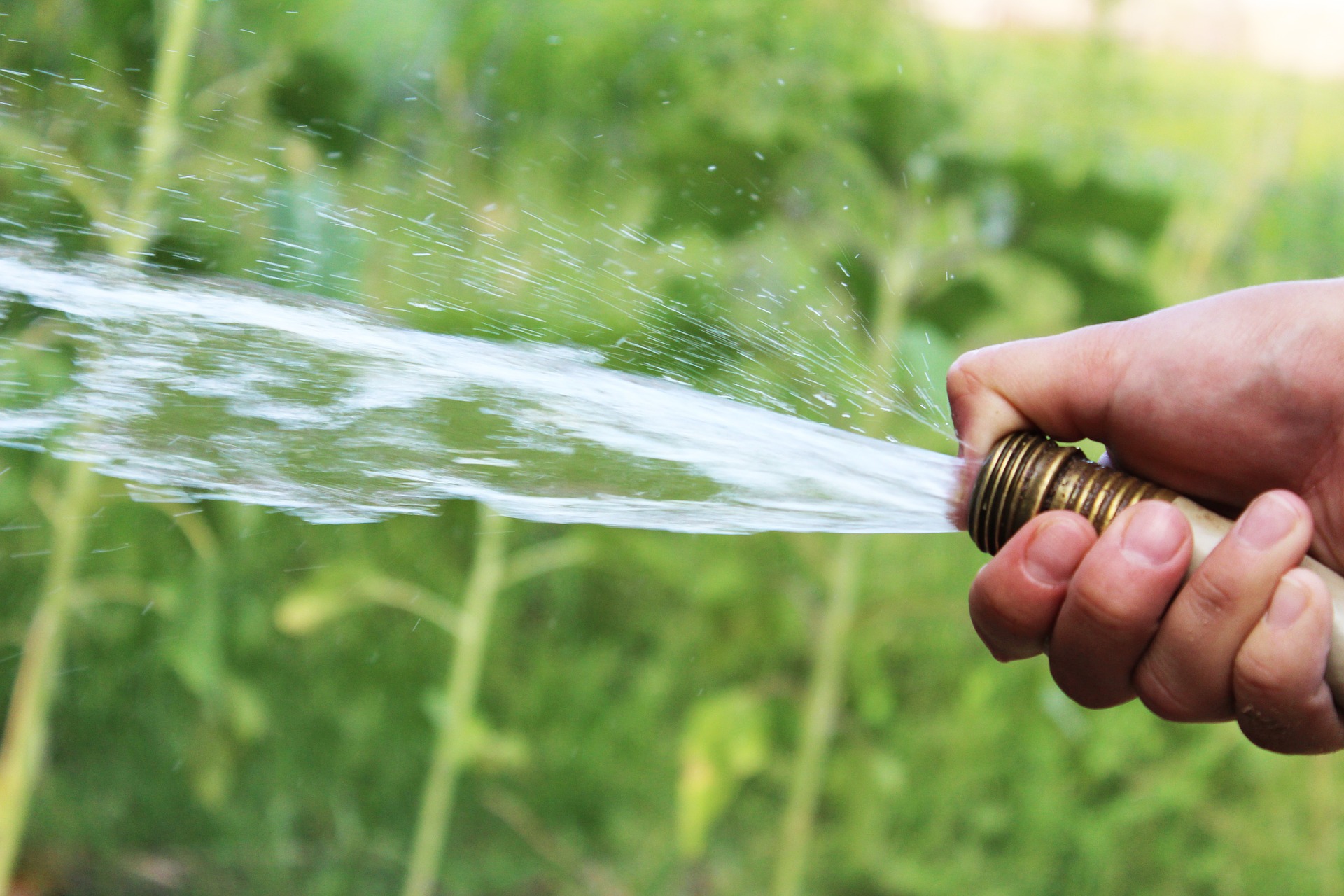 The Economics of Watering Your Lawn - Lawn Love