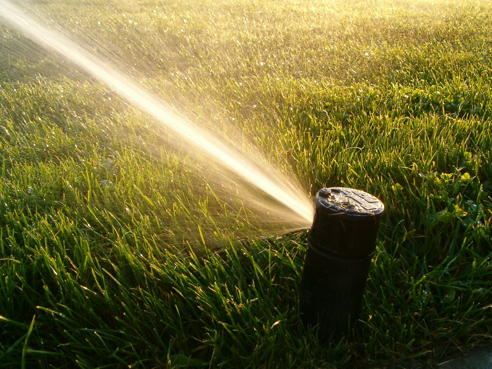 A Quick Guide to Summer Lawn Irrigation