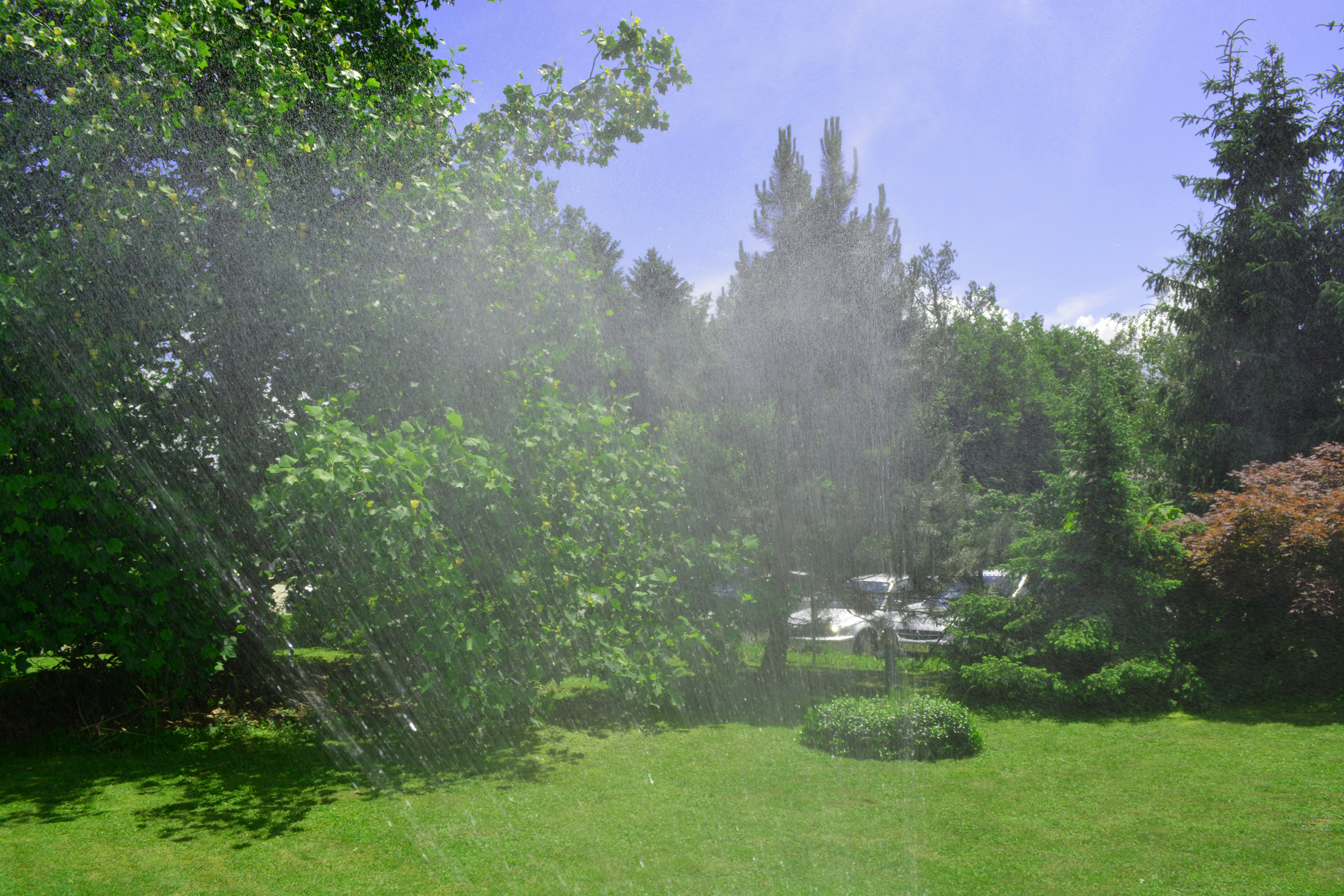 Lawn watering, Garden, Grass, Lawn, Sprinkler, HQ Photo