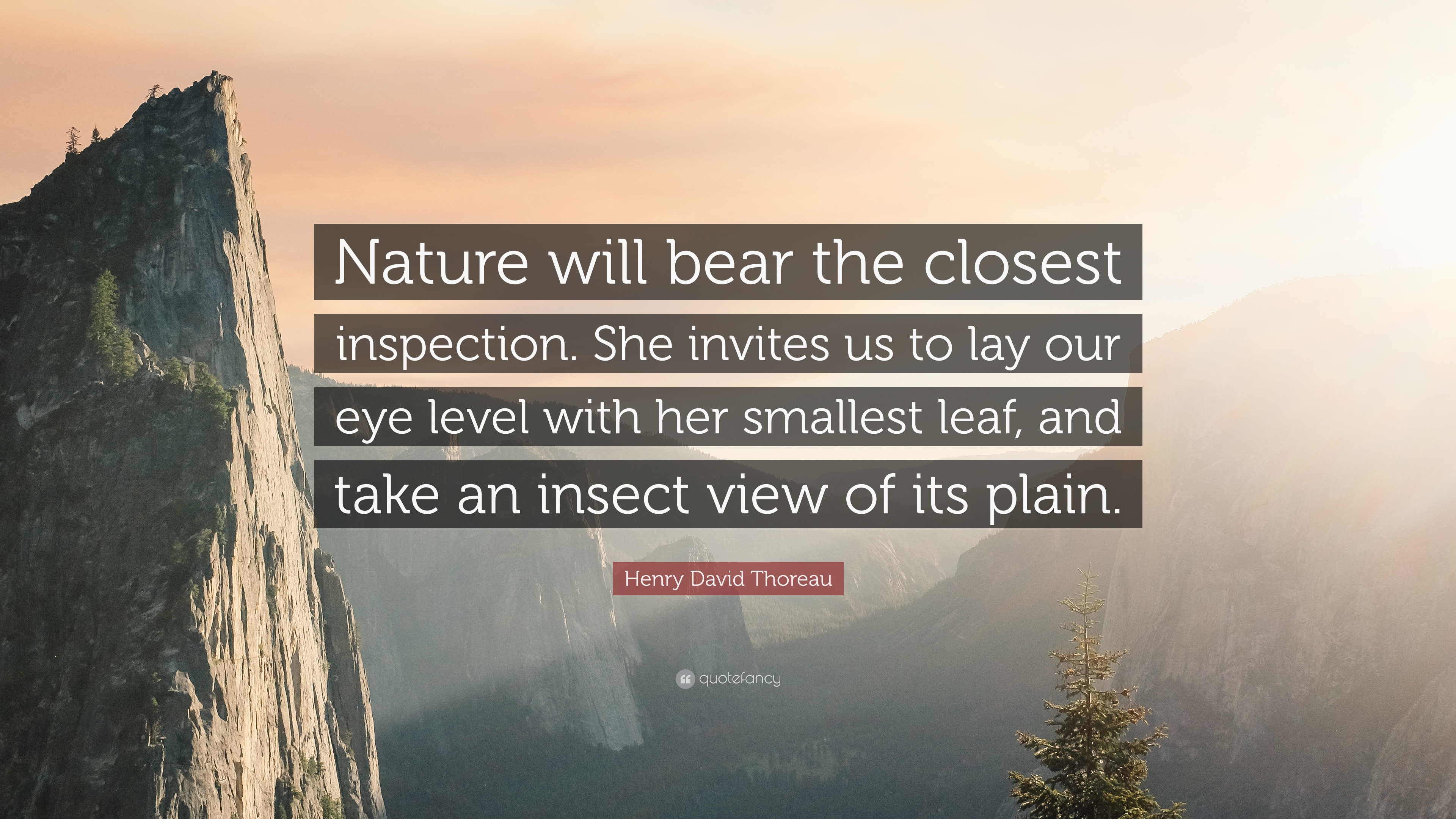 Henry David Thoreau Quote: “Nature will bear the closest inspection ...