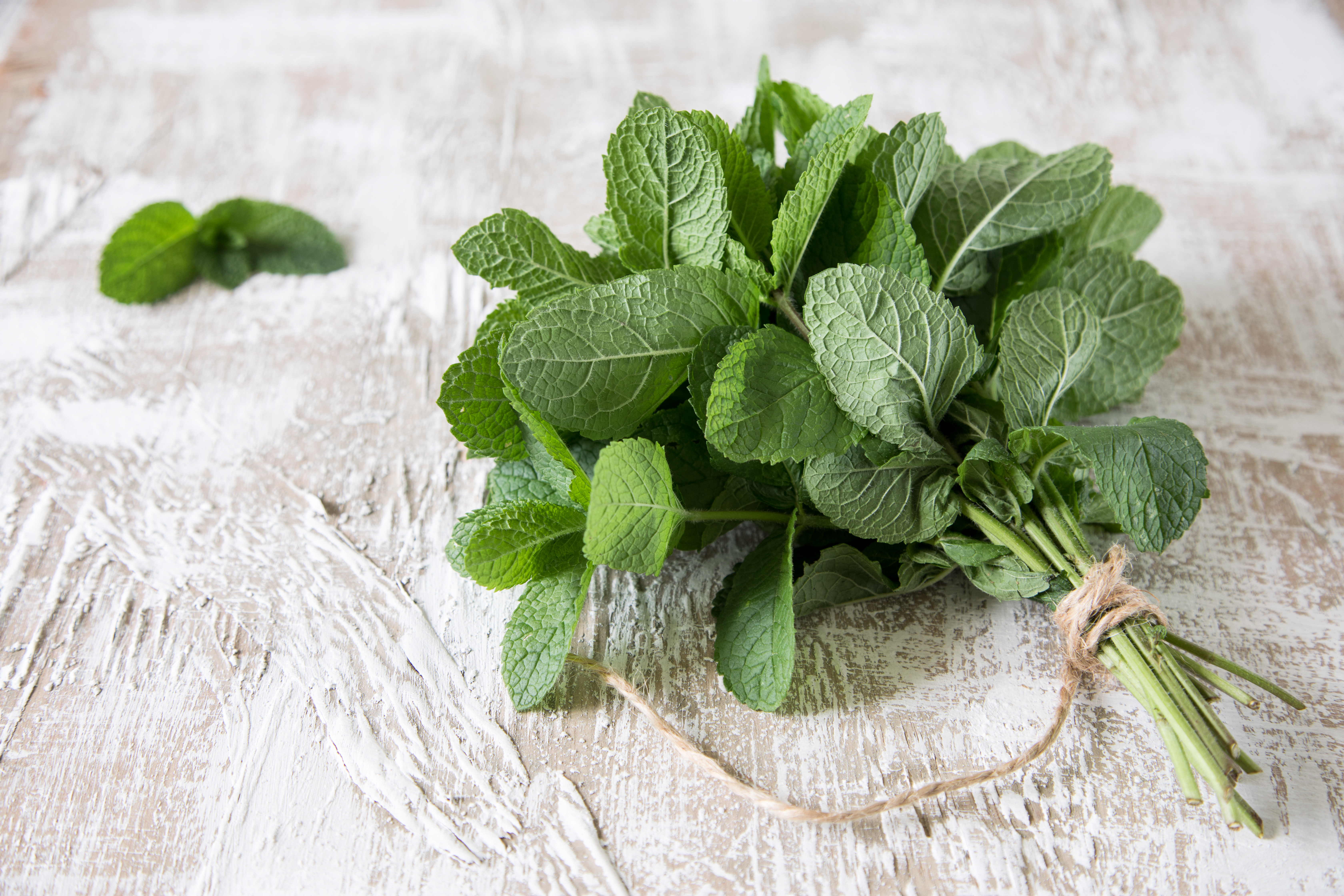 What Are the Benefits of Eating Whole Mint Leaves? | LIVESTRONG.COM