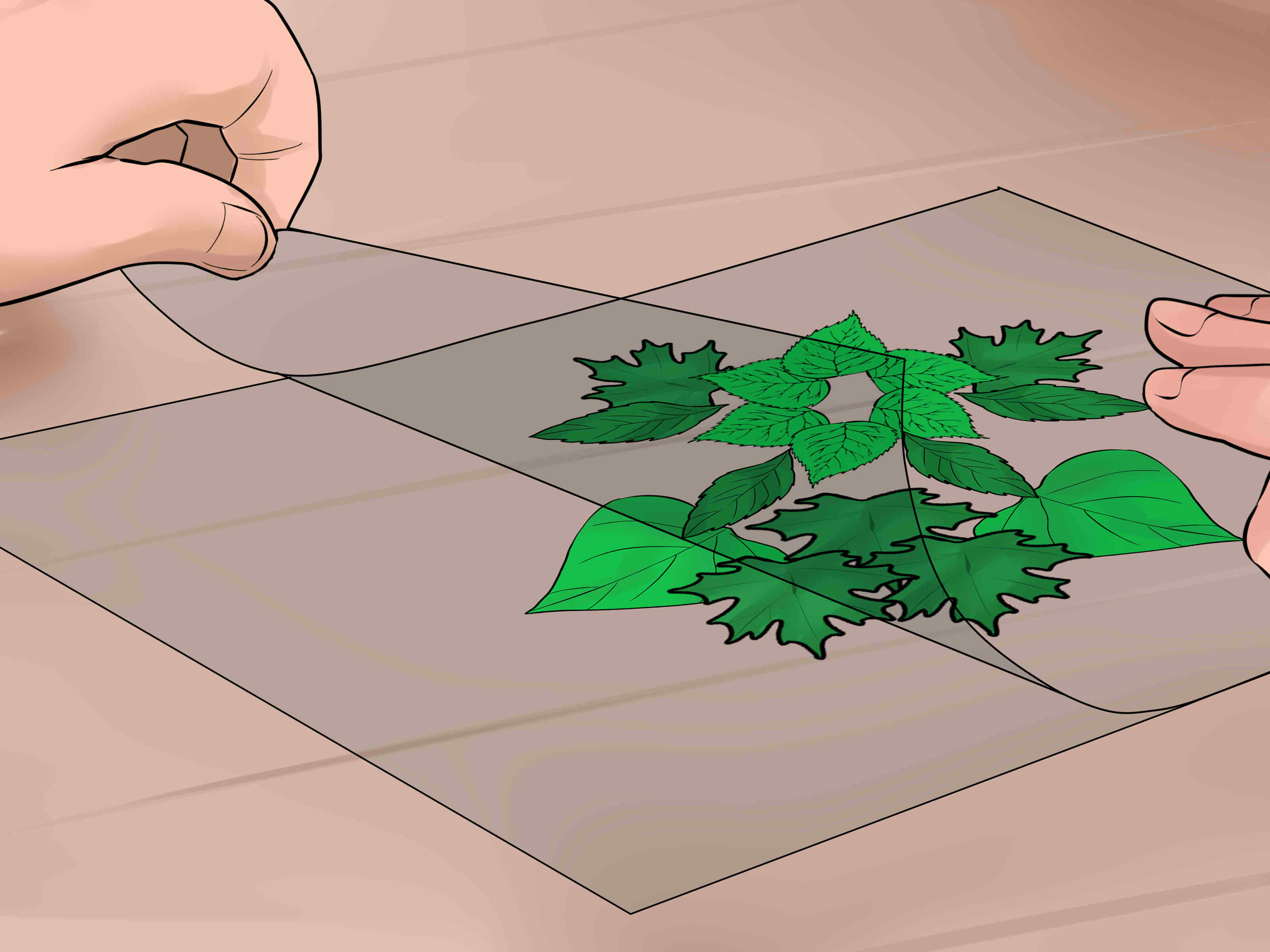 3 Ways to Make a Leaf Collage - wikiHow