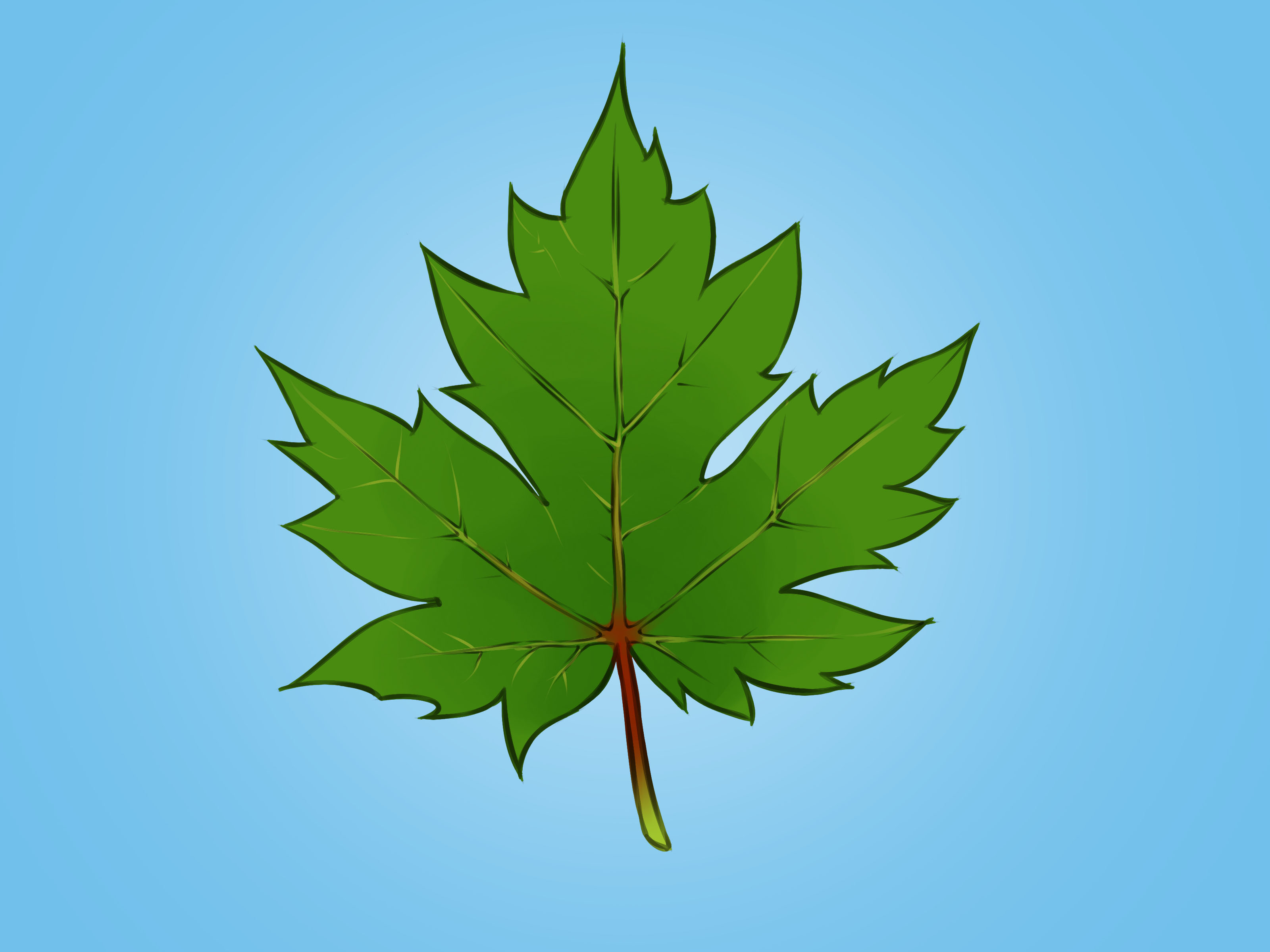 How to Draw a Maple Leaf: 12 Steps (with Pictures) - wikiHow