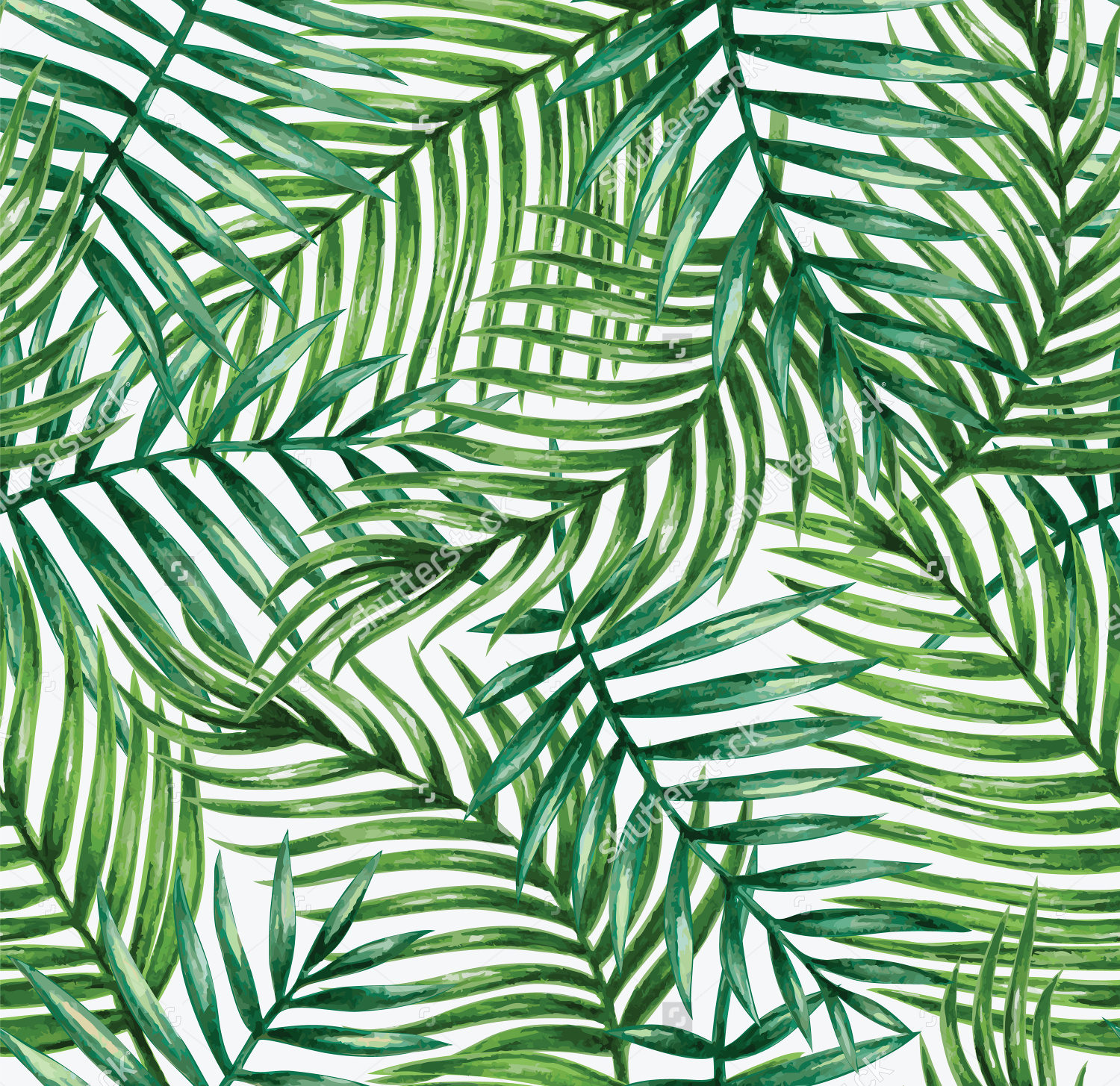 Pattern from leaves photo