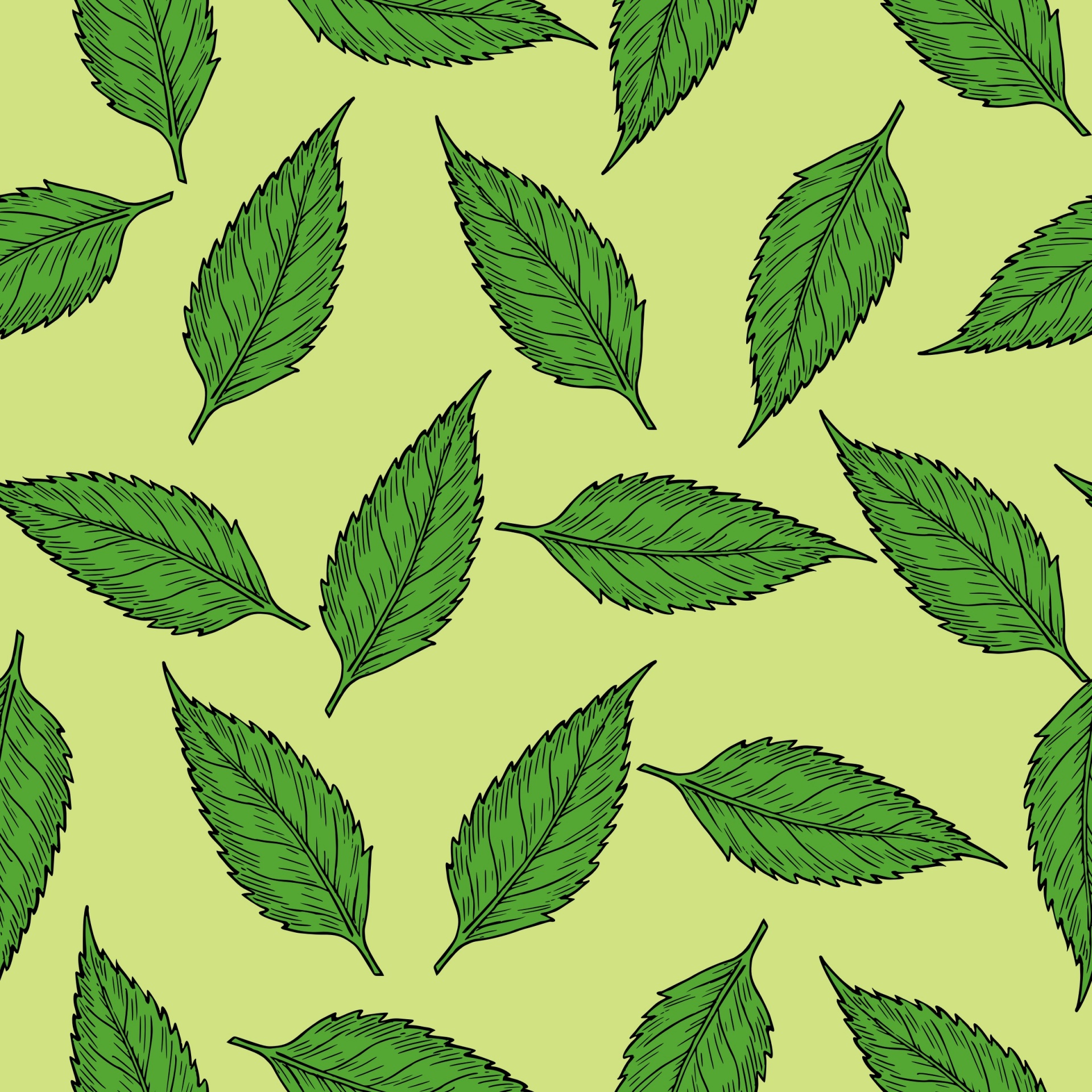 Leaf Pattern Free Stock Photo - Public Domain Pictures