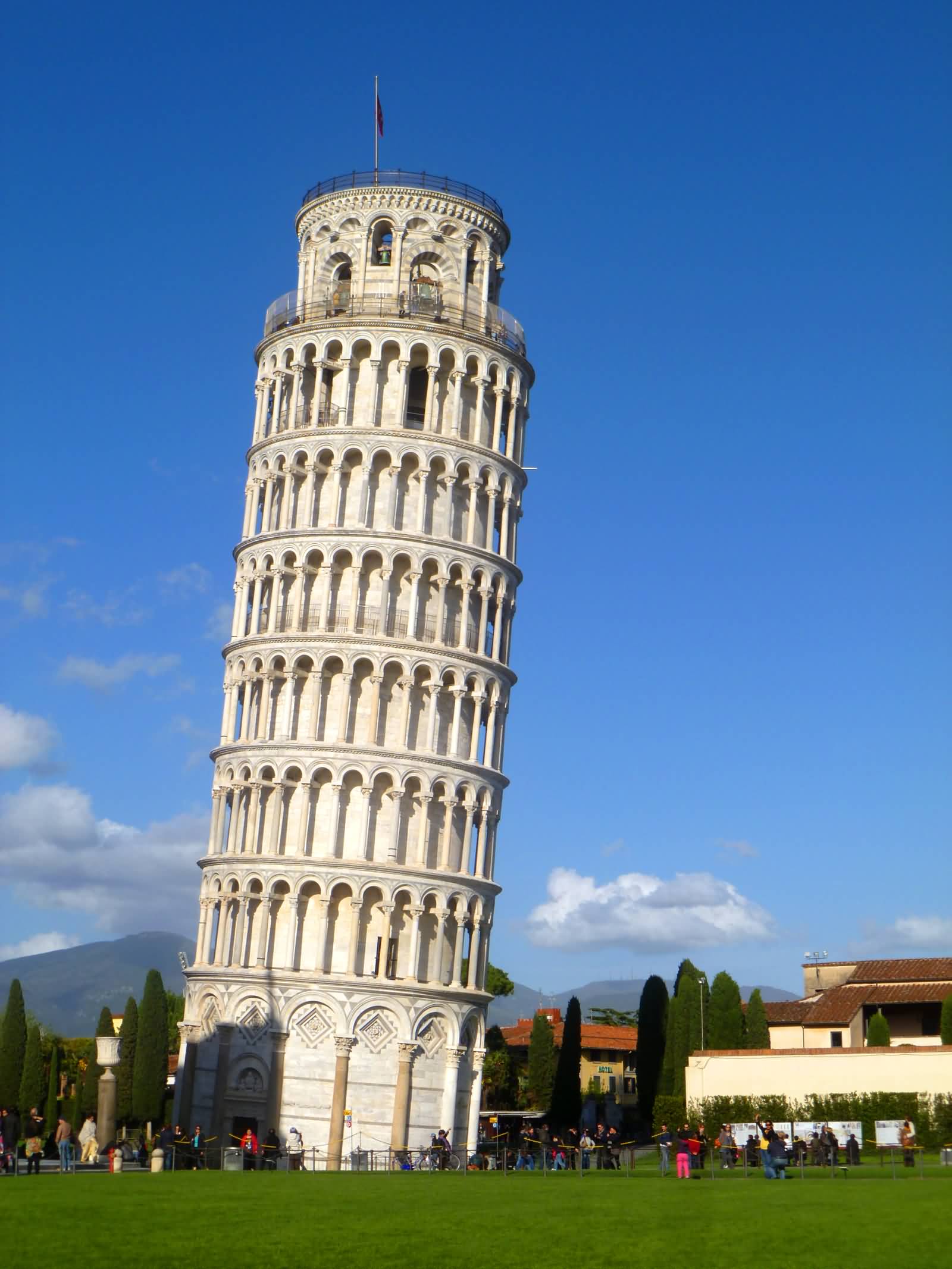 Leaning Tower of Pisa In Italy Picture