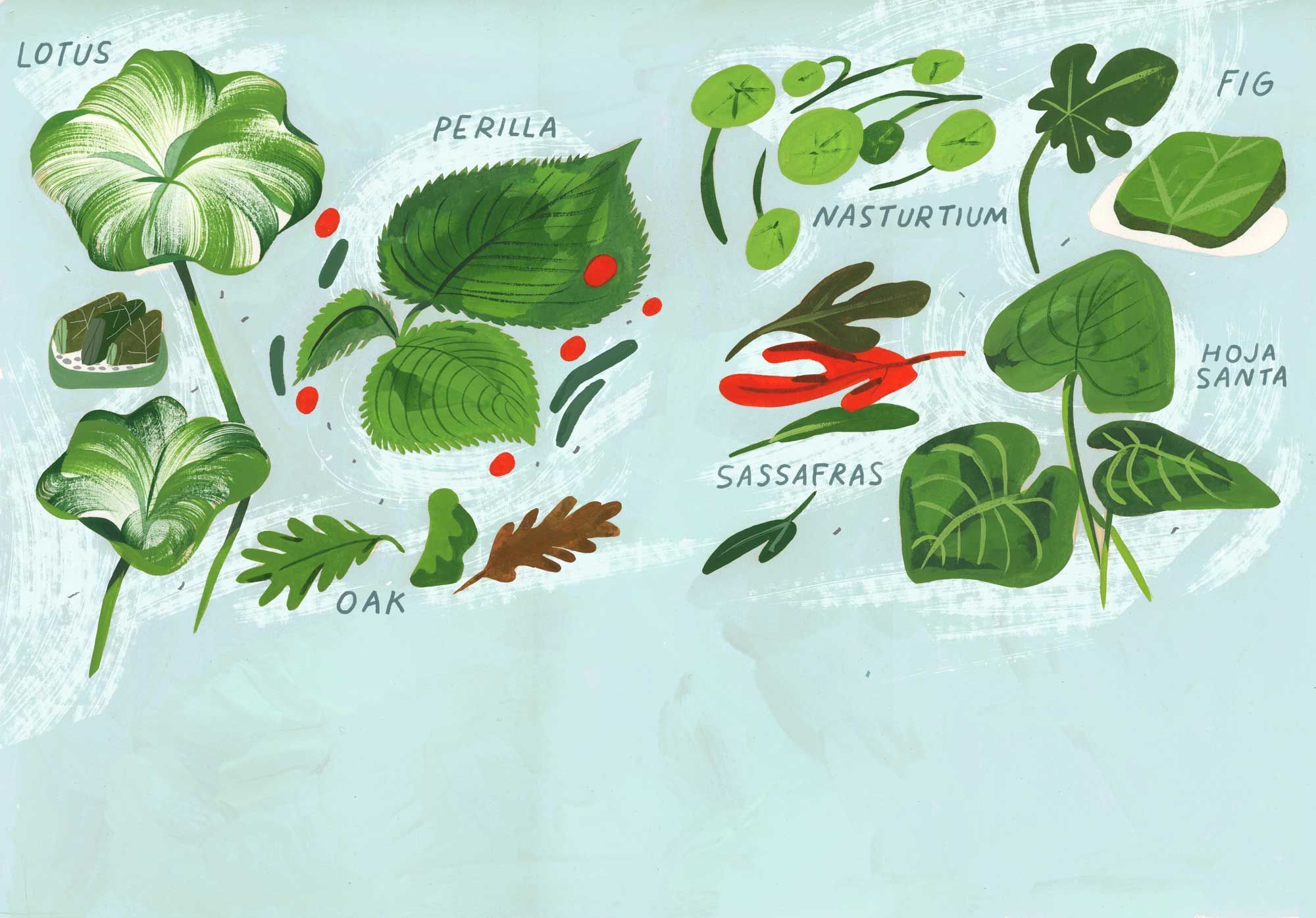 10 Flavor-Packed Leaves From Around the World to Bring Into Your ...