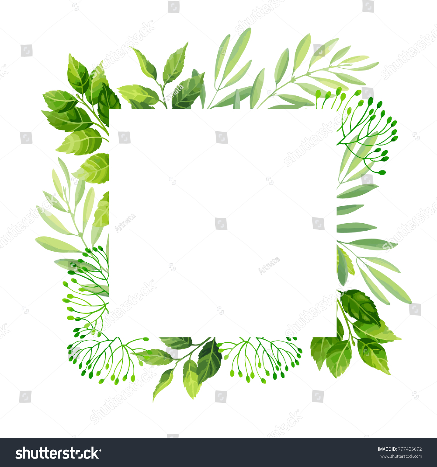 Green Leaves Frame Template Vector Illustration Stock Photo (Photo ...