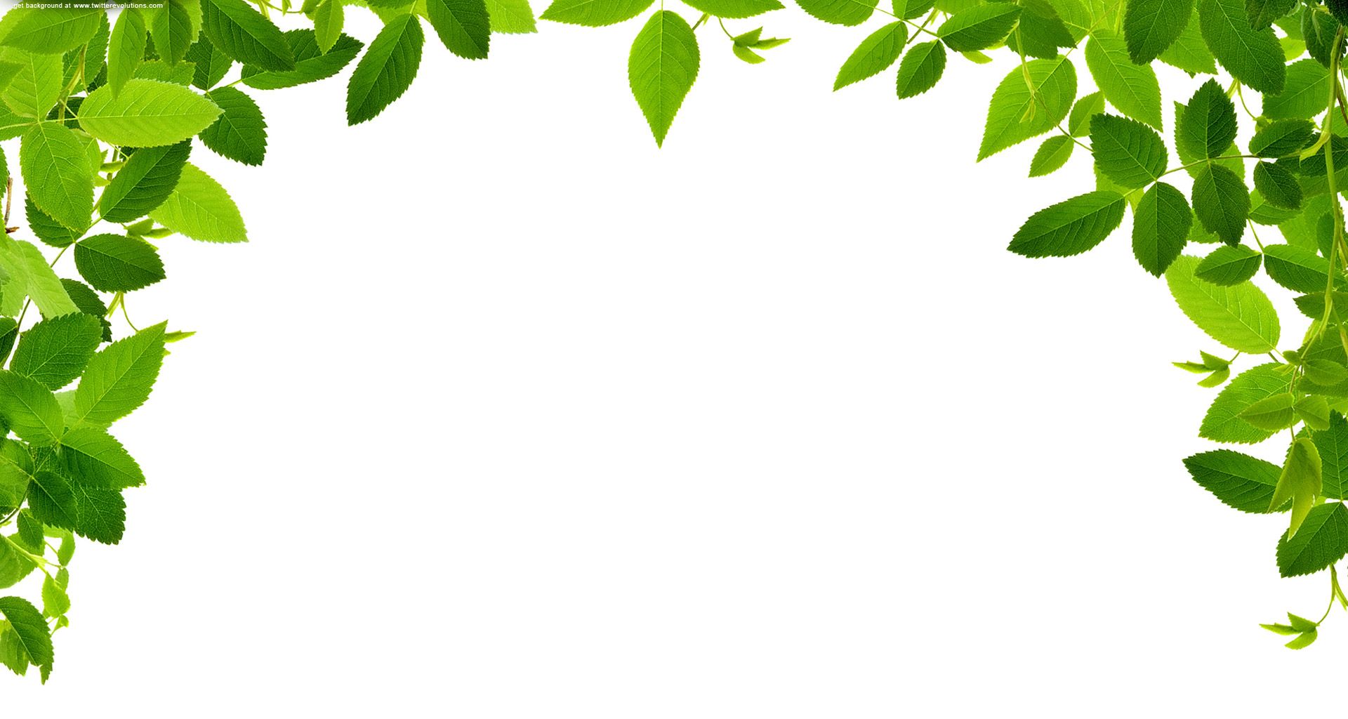 Leaves Real Free Images At Clker Com Vector Clip Art Online | Baby ...