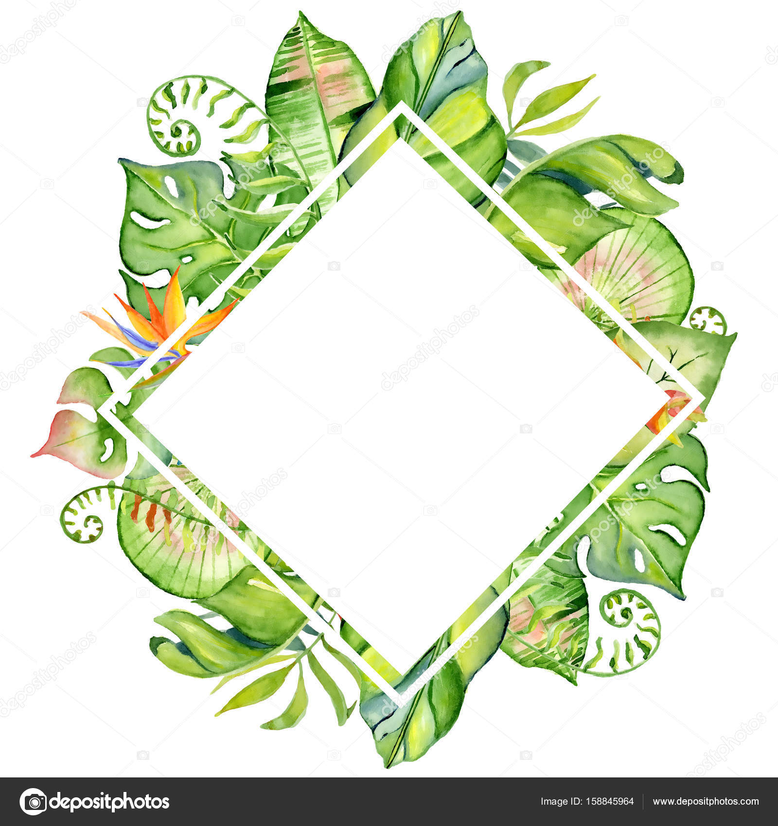 Watercolor tropical leaves frame — Stock Photo © nereia #158845964