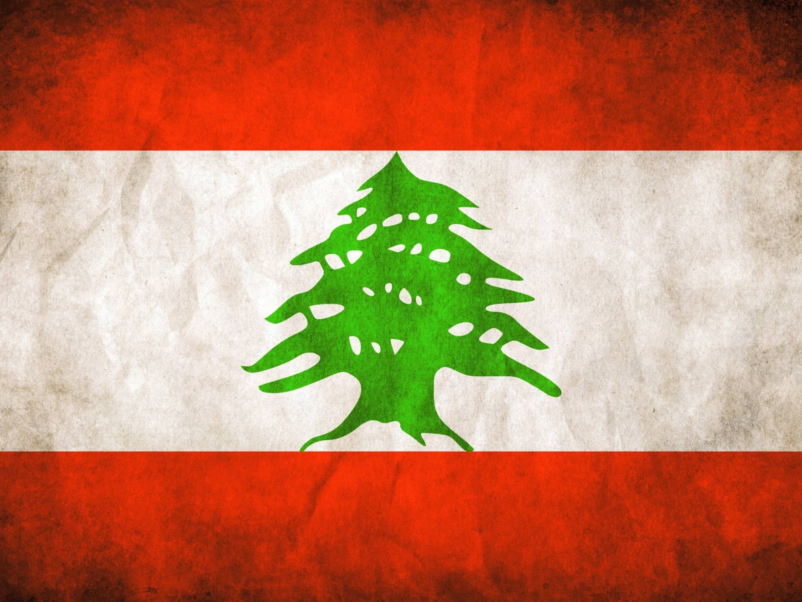Mario Macaron: Tributum ad Cedrum Libani – A Tribute to the Lebanese ...