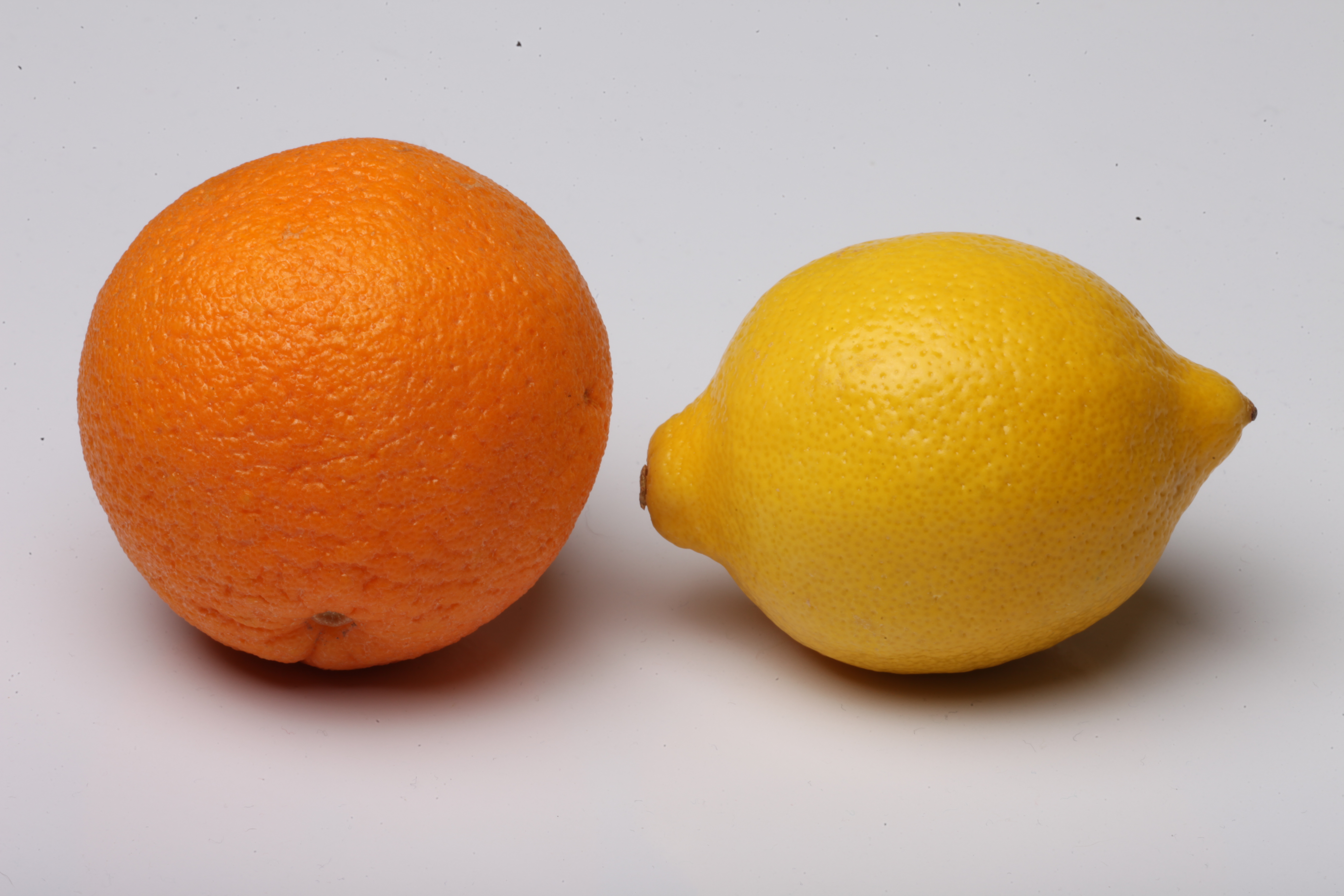 Lemon and orange isolated on white photo