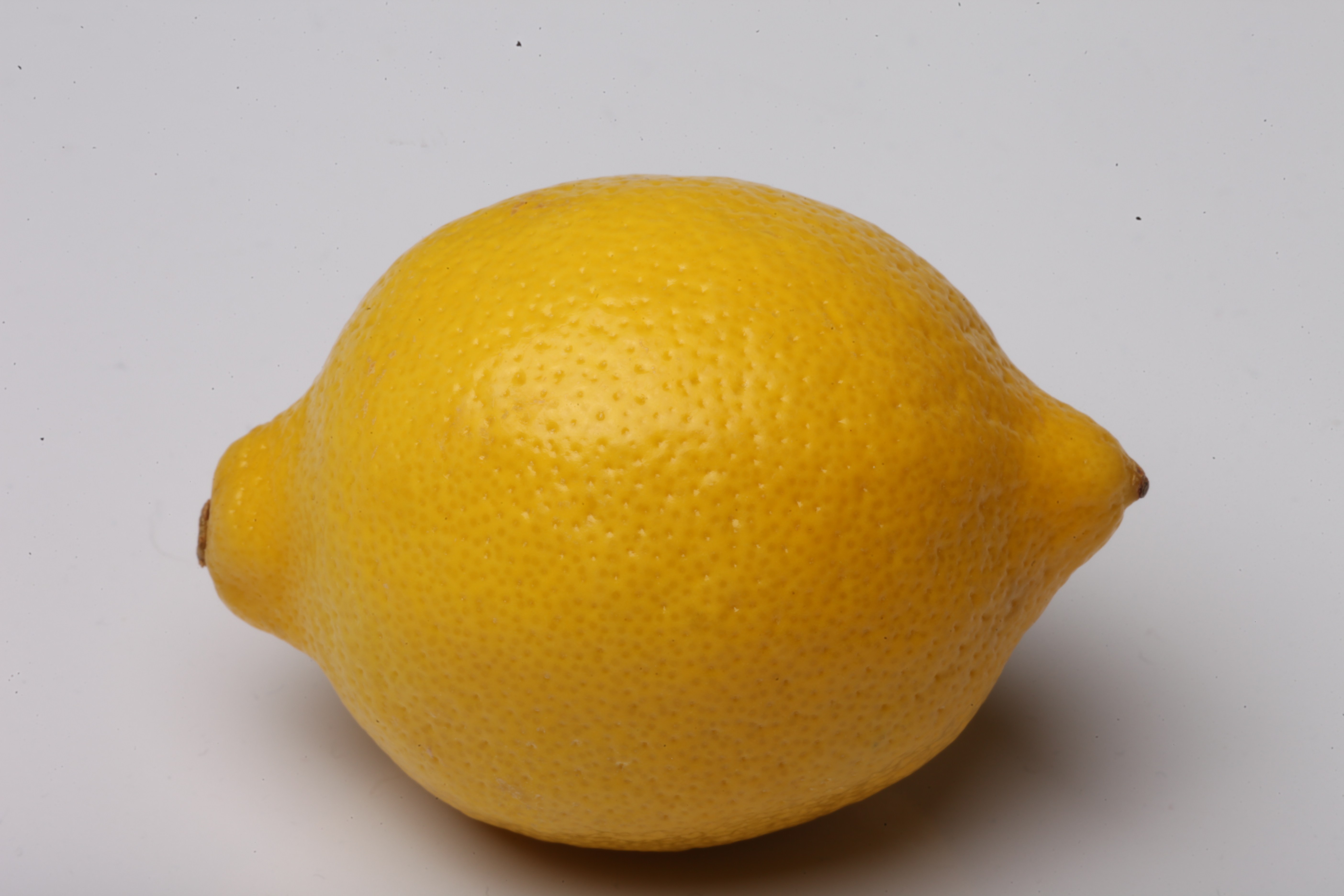 Lemon isolated on white. photo