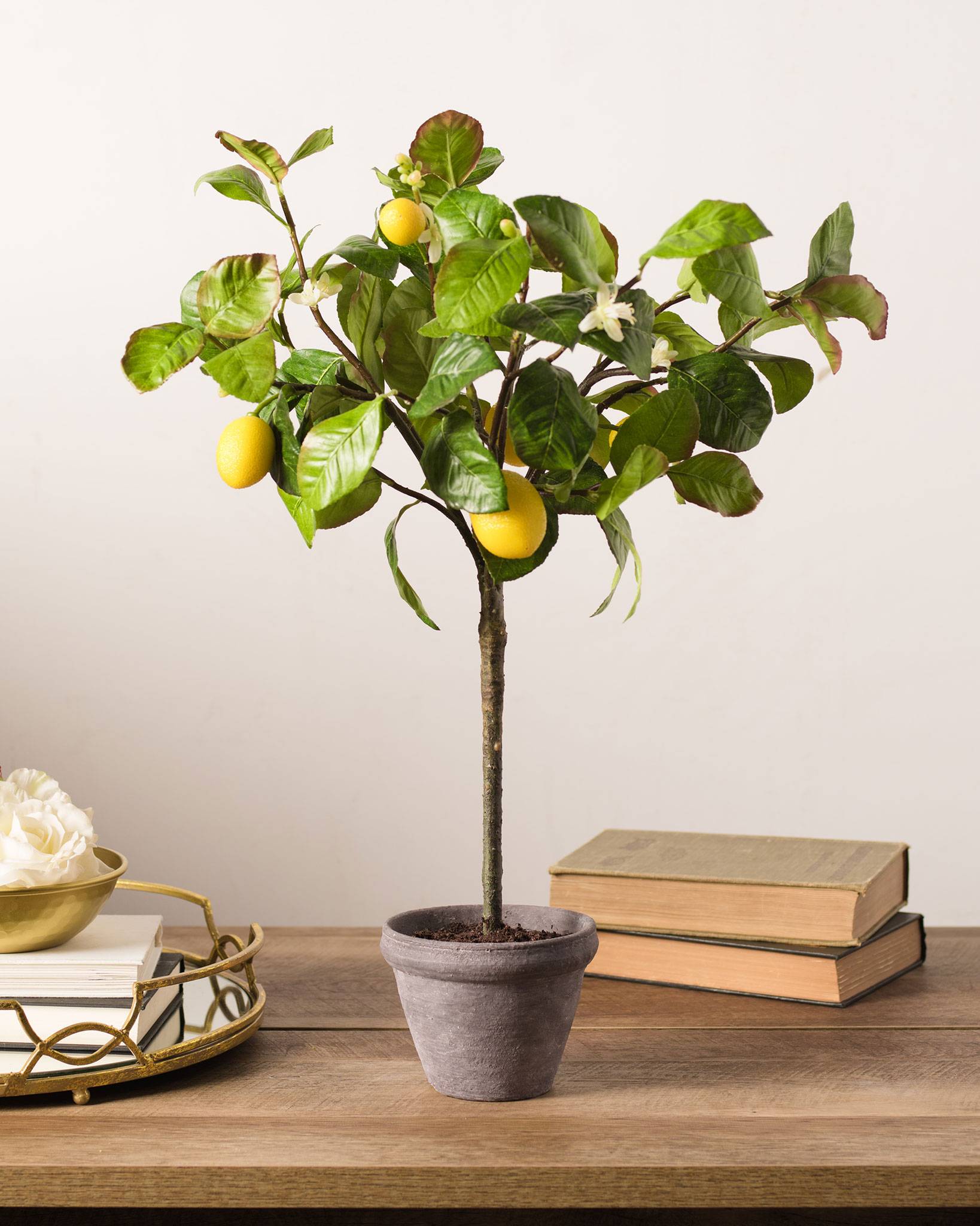 Meyer Lemon Tree | Balsam Hill