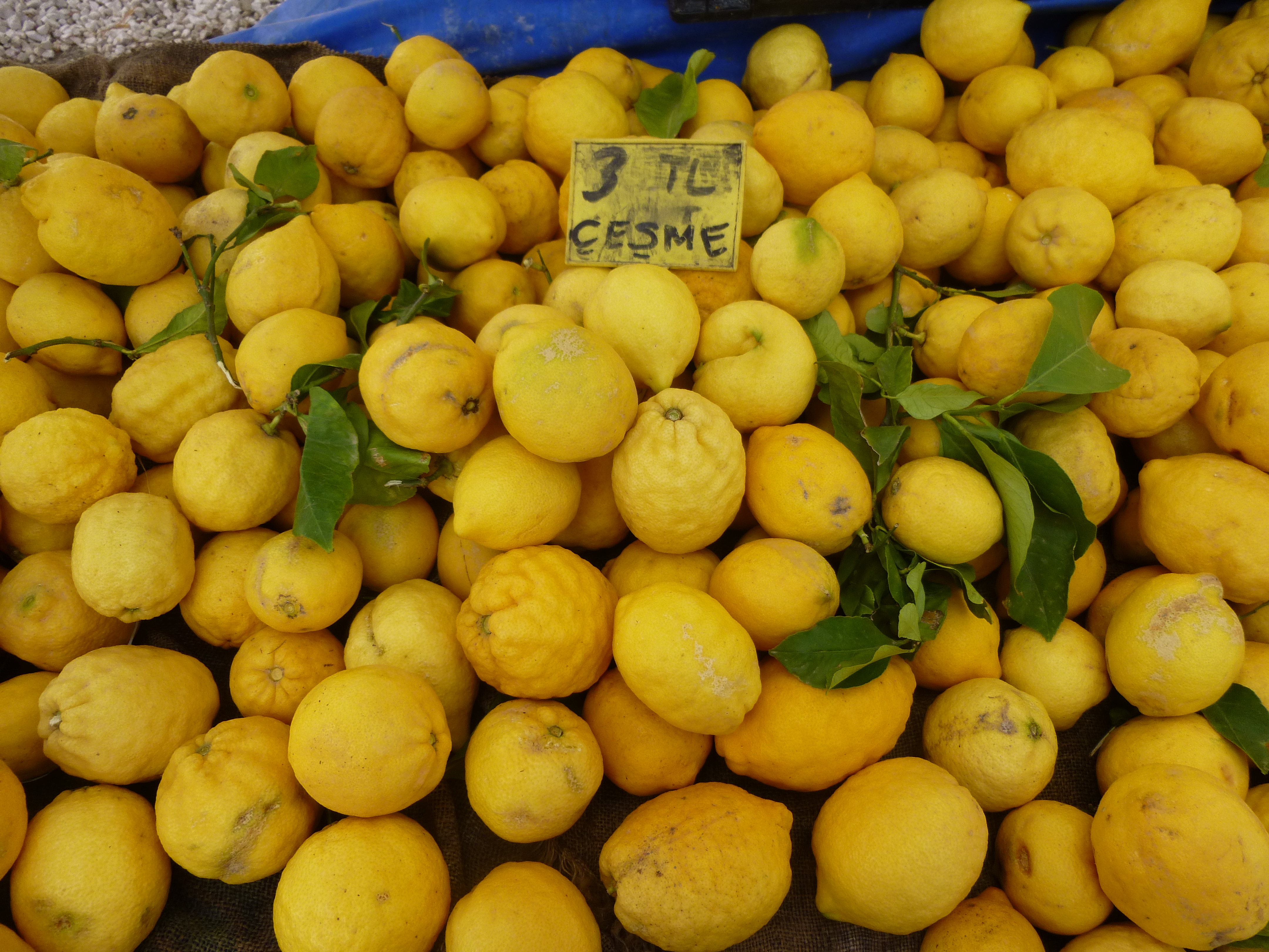 Turkish lemons, Egyptian “lemon squeezers” | lemons, lemons, lemons