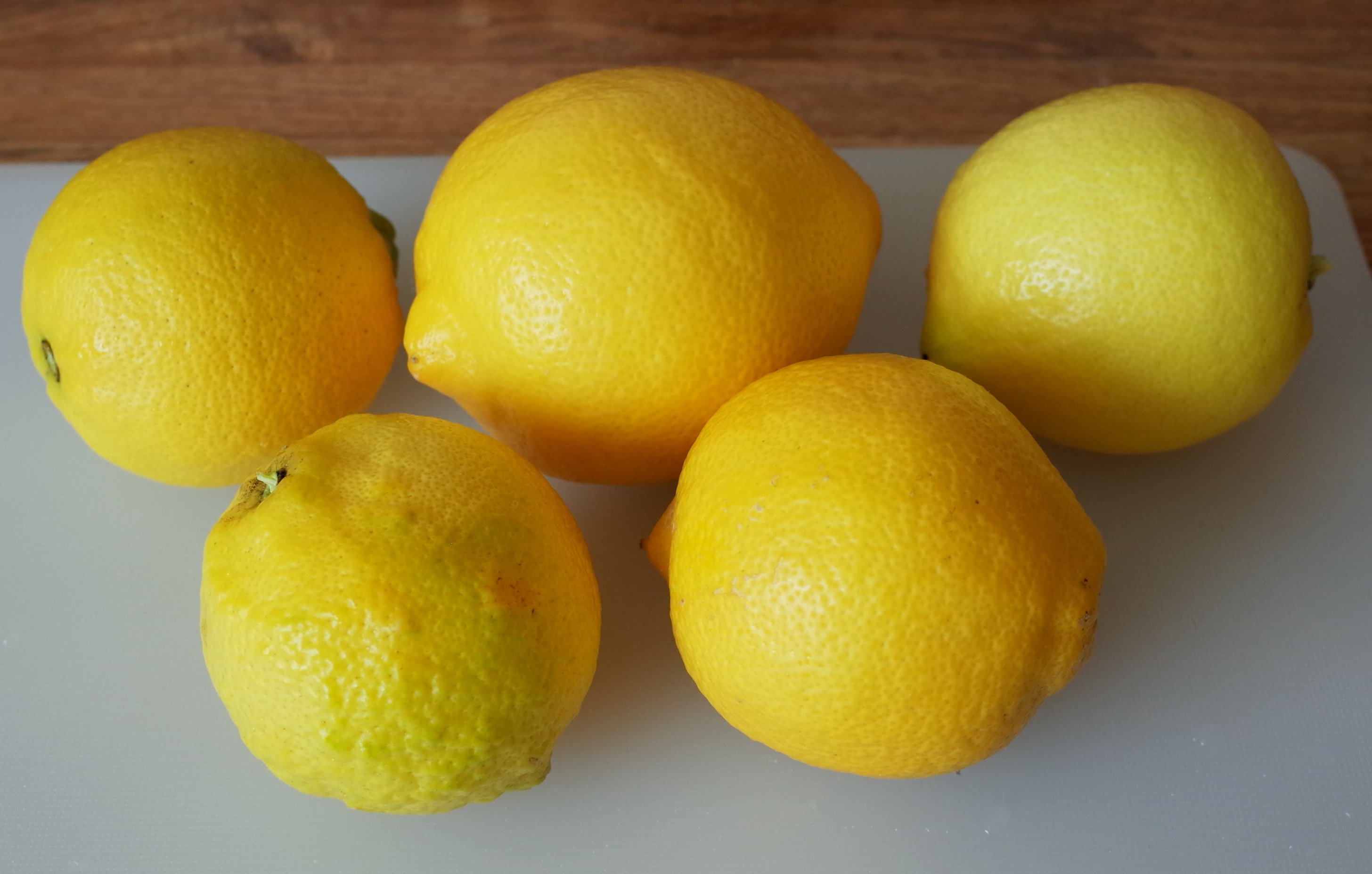 Lemon Marmalade | the windy kitchen