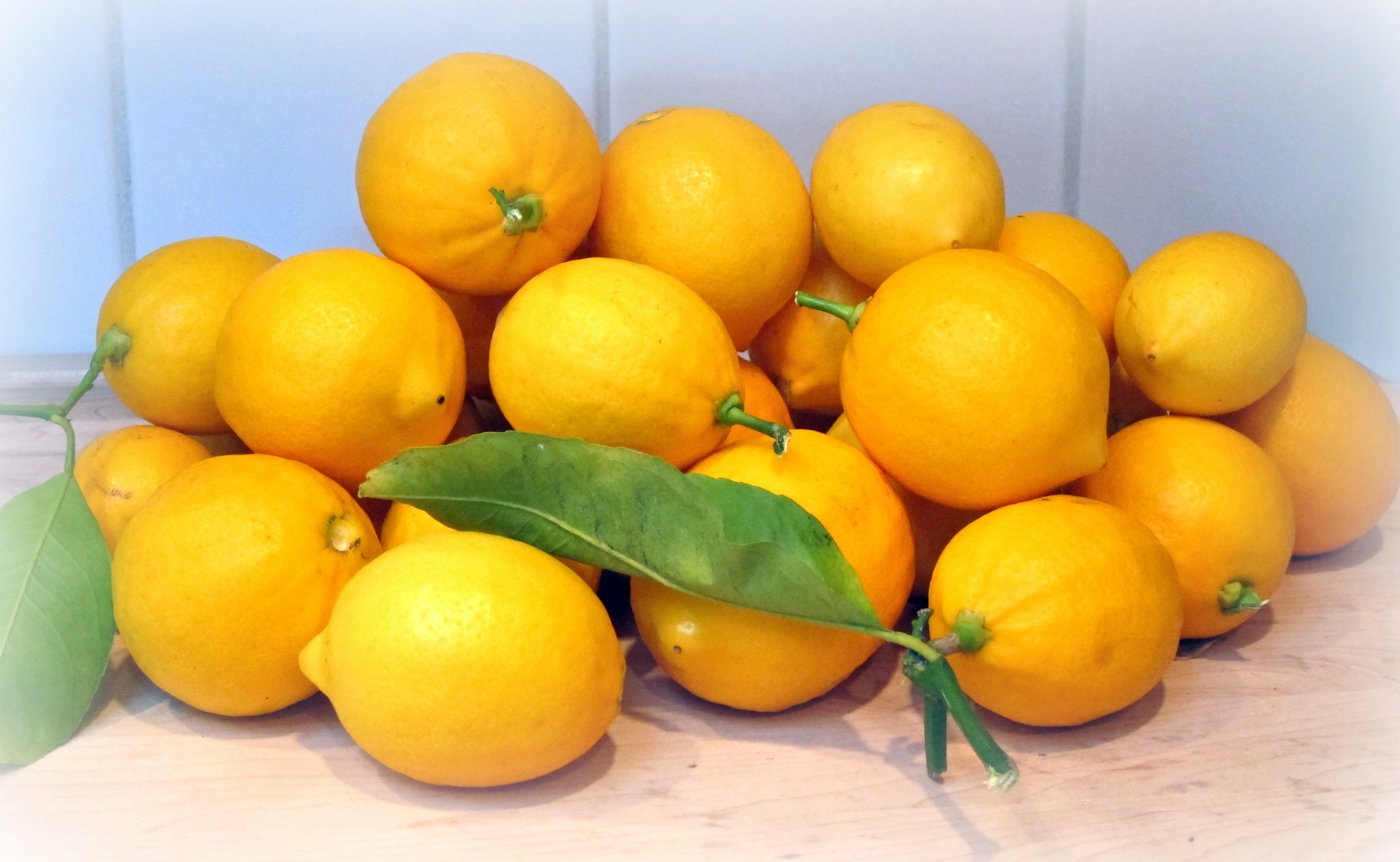Benefits of the humble Lemon - HomeGrownWay.comHome Grown Way