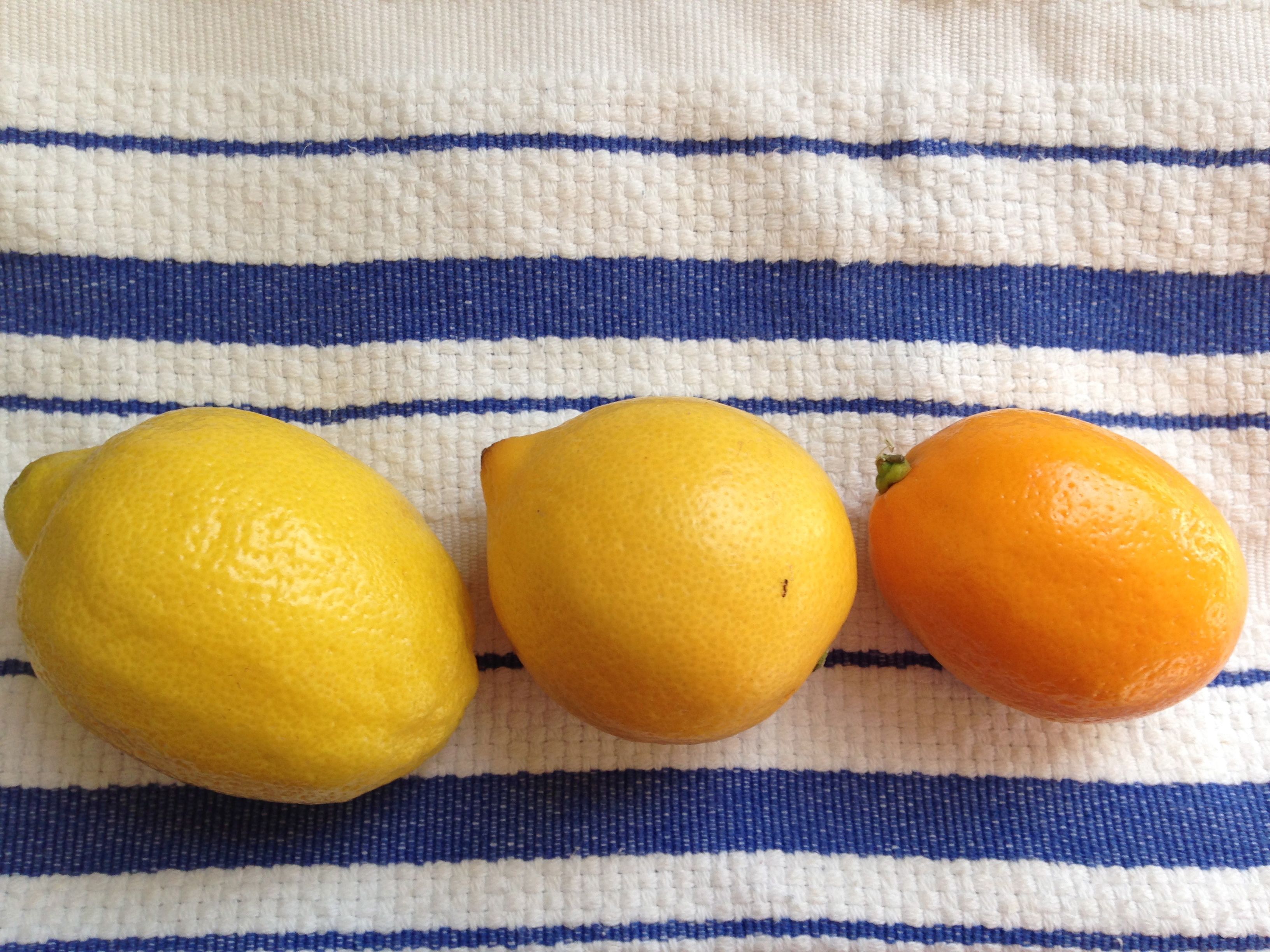 Lemons to Lemonade to Limoncello | SensitiveEconomist