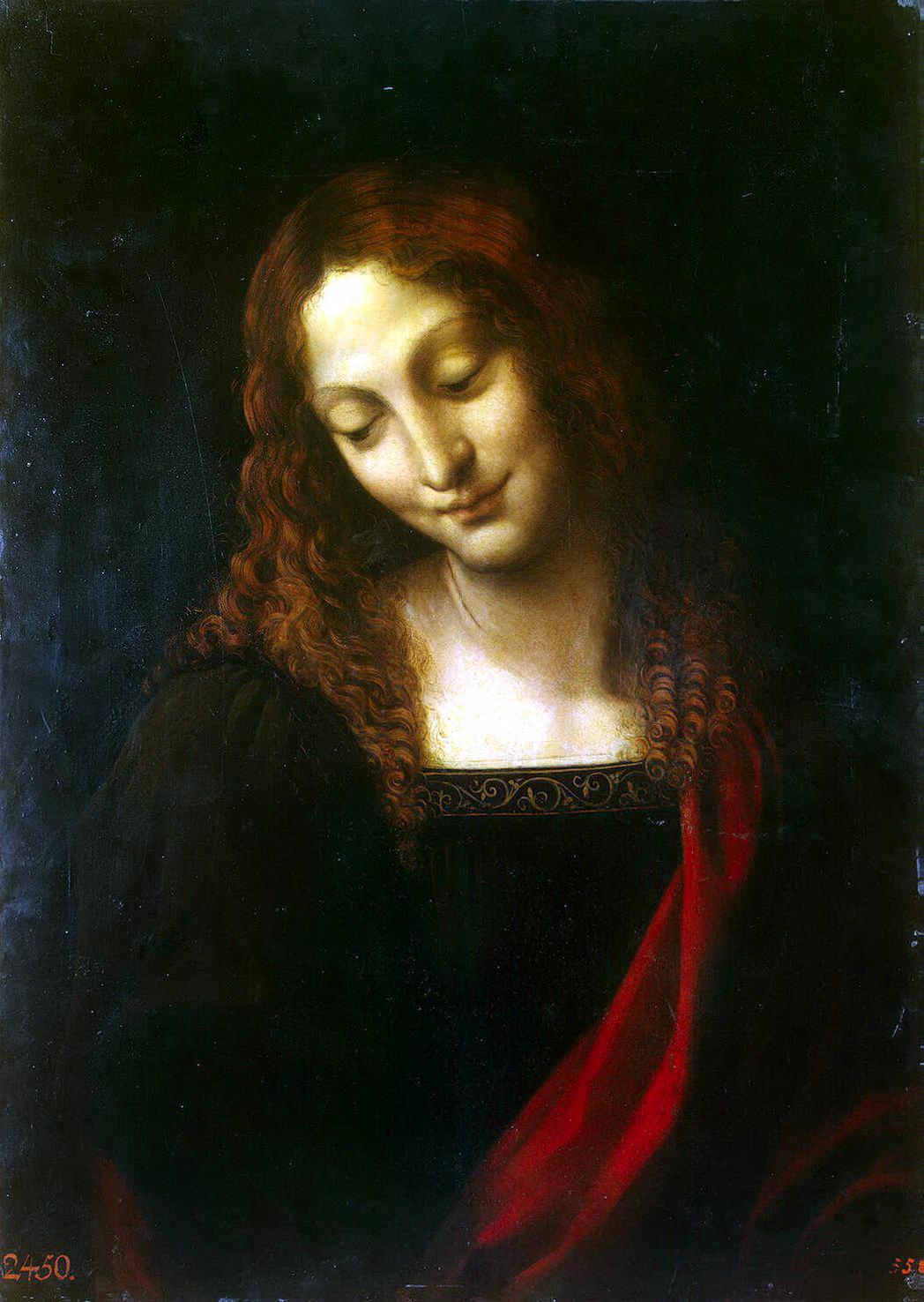Leonardo da vinci painting photo