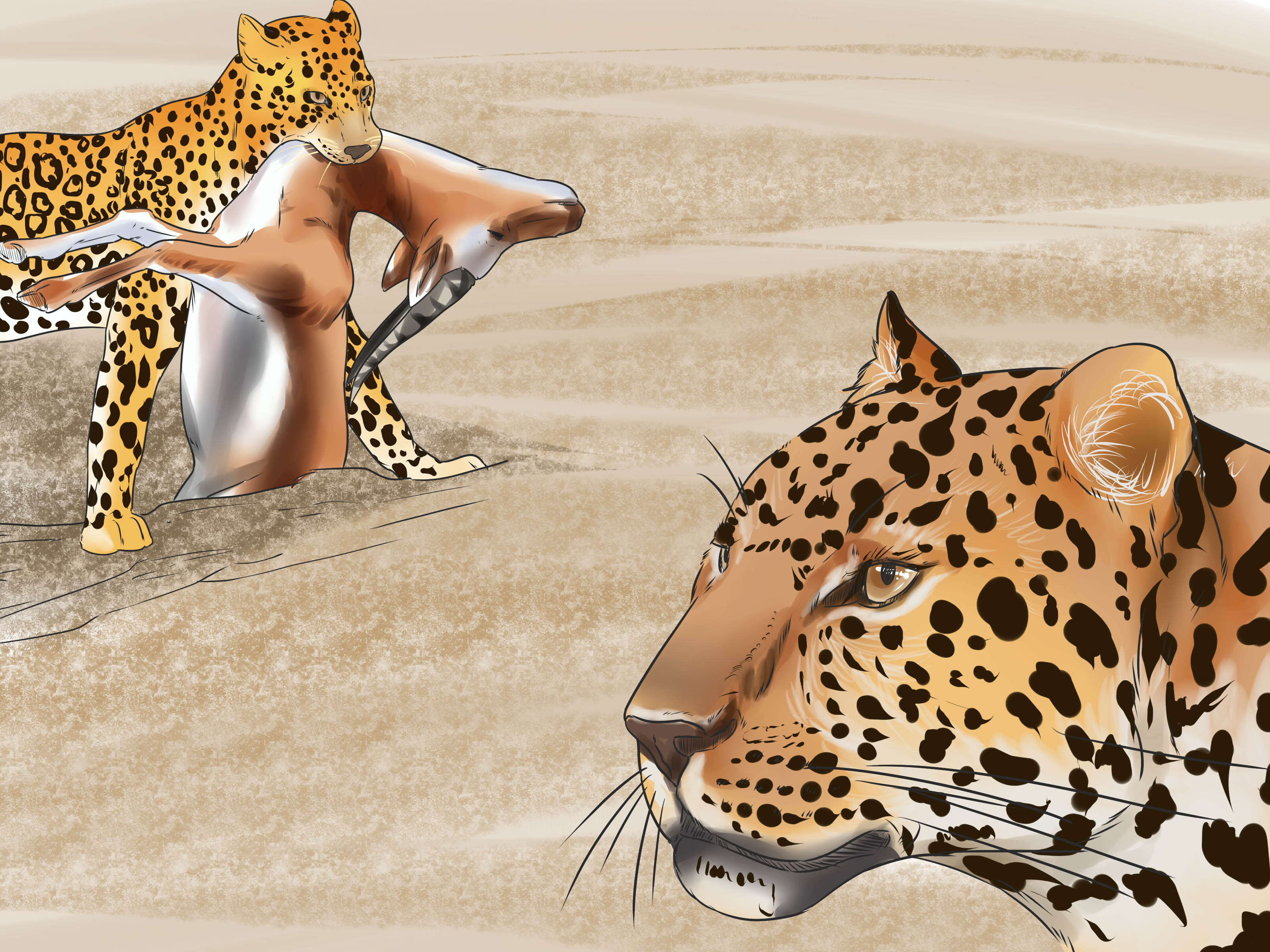 3 Ways to Tell a Jaguar from a Leopard - wikiHow