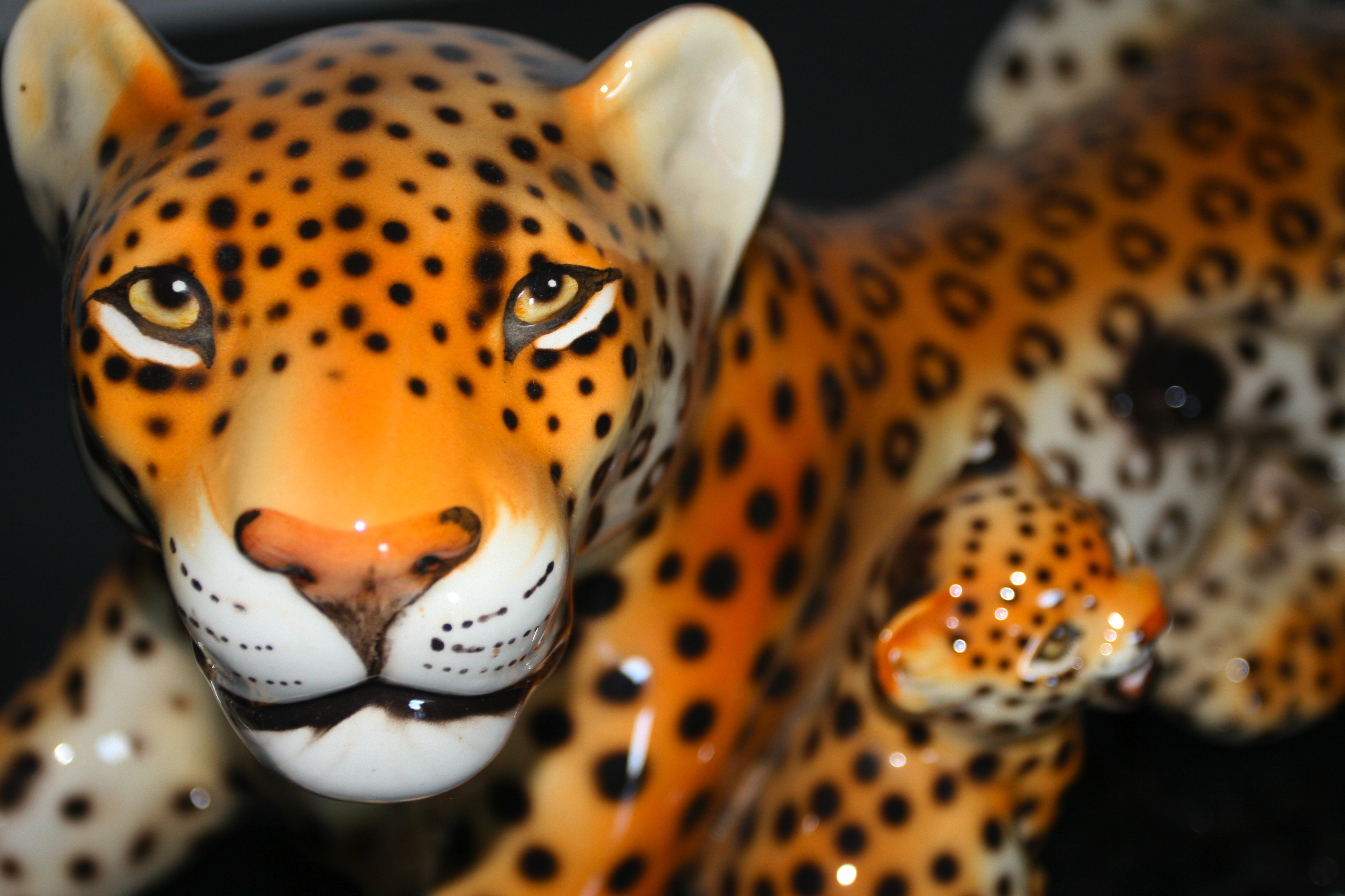 Leopard, Bspo06, Glass, Object, Orange, HQ Photo