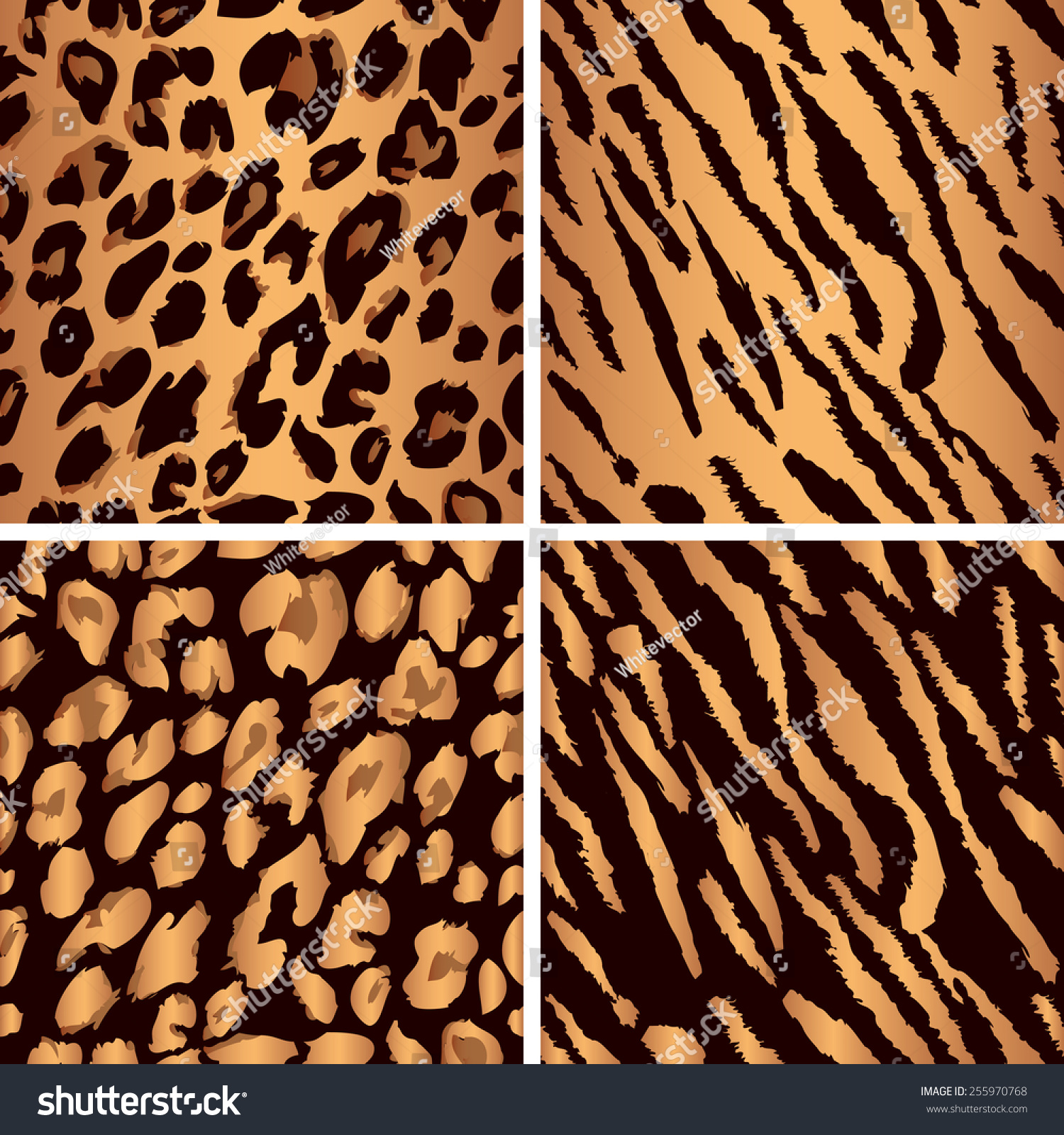 Set Leopard Print Pattern Set Tiger Stock Vector 255970768 ...