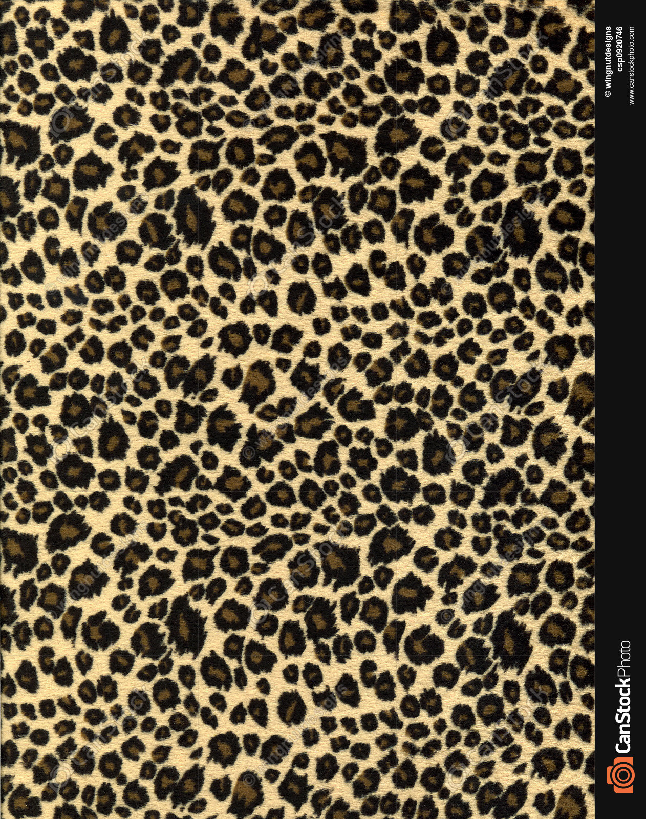 Leopard print fabric texture stock image - Search Photos and Photo ...