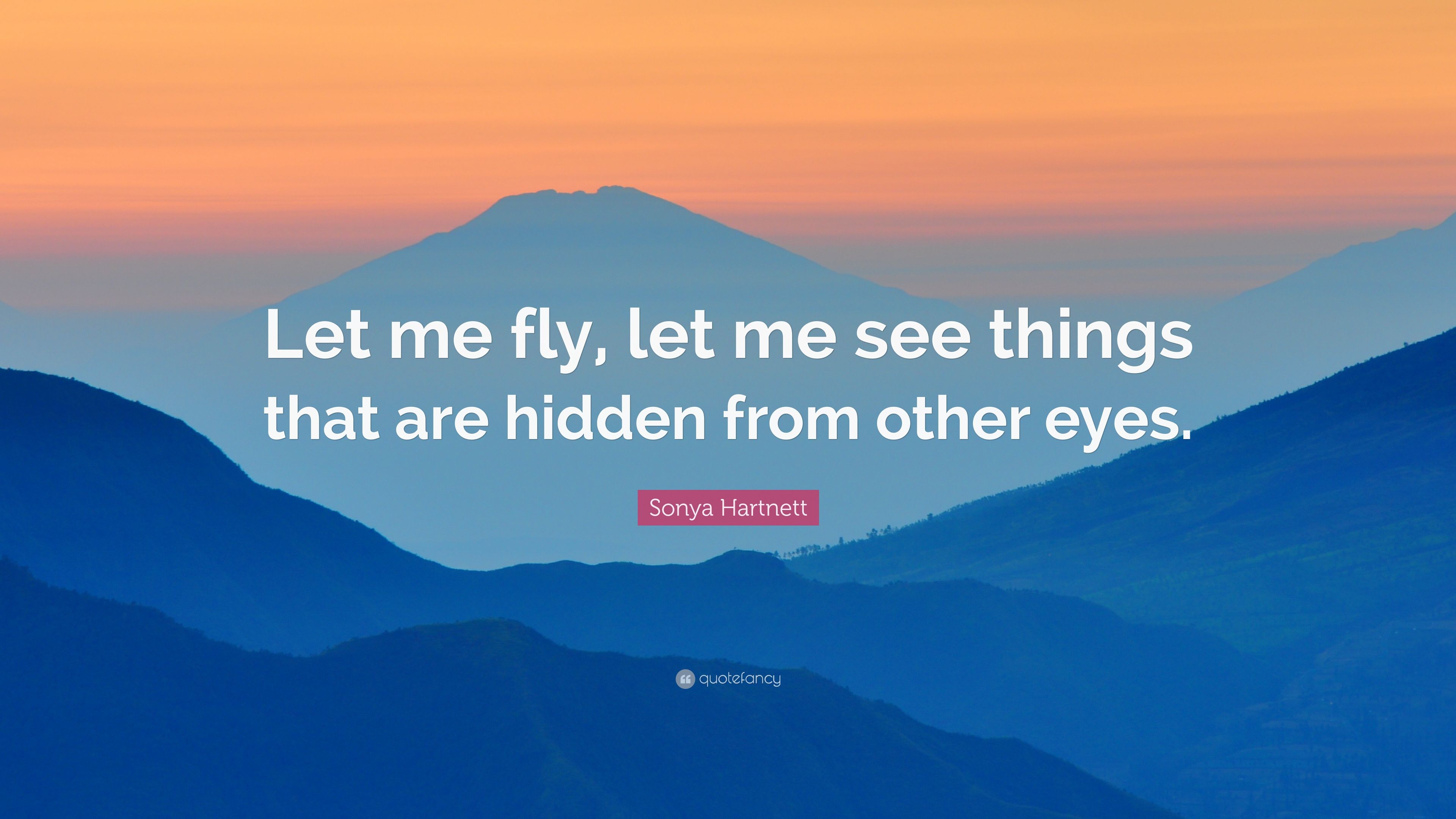 Sonya Hartnett Quote: “Let me fly, let me see things that are hidden ...