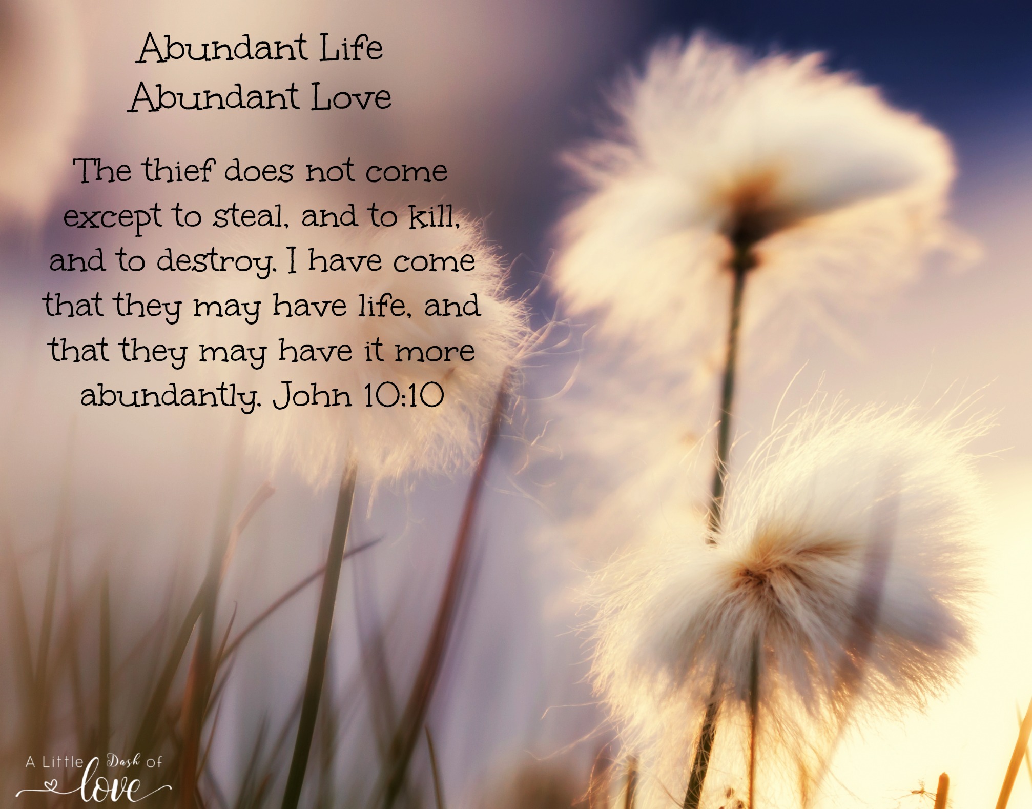 Abundant Life www.alittledashoflove.com