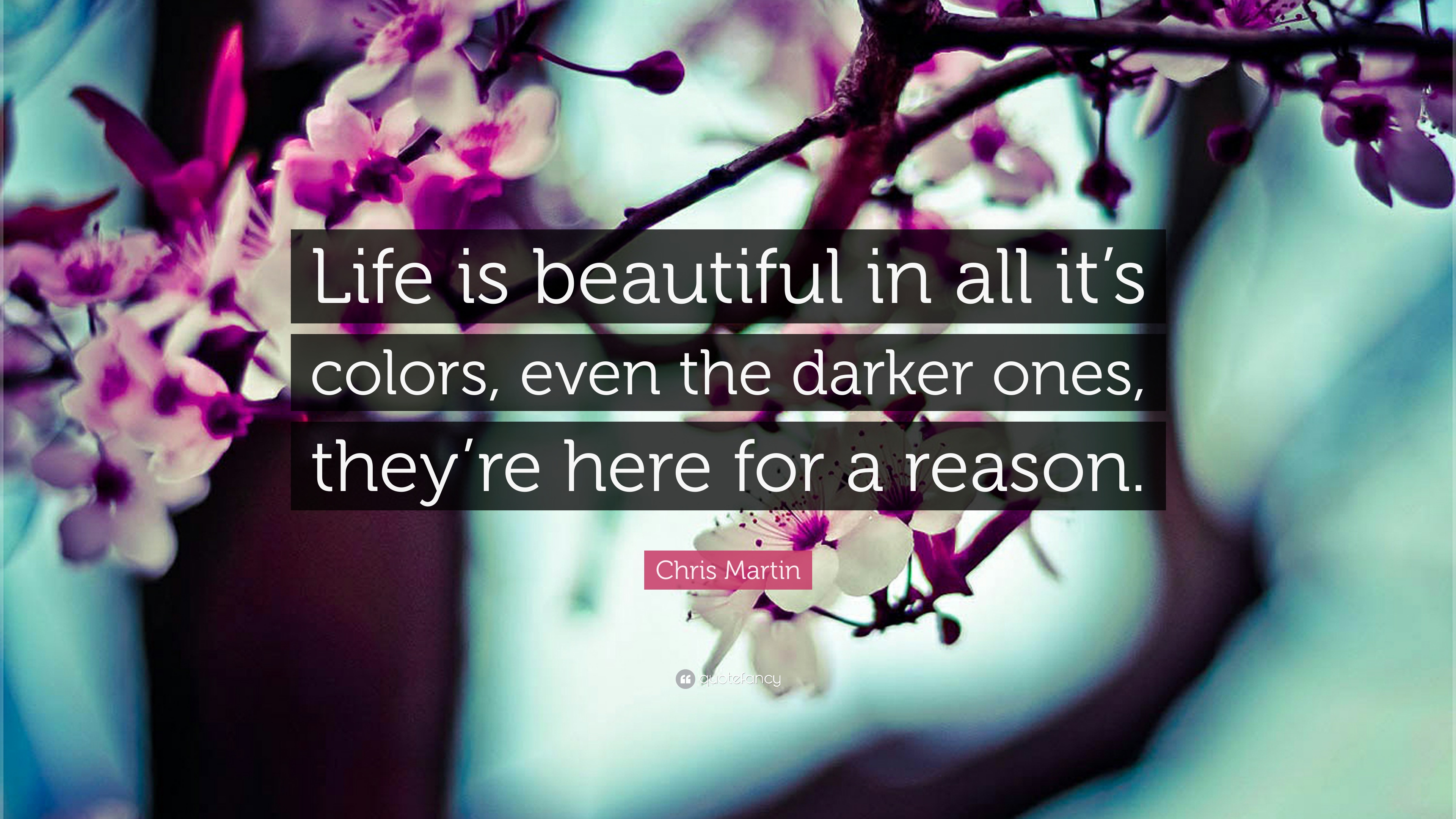 Chris Martin Quote: “Life is beautiful in all it's colors, even the ...