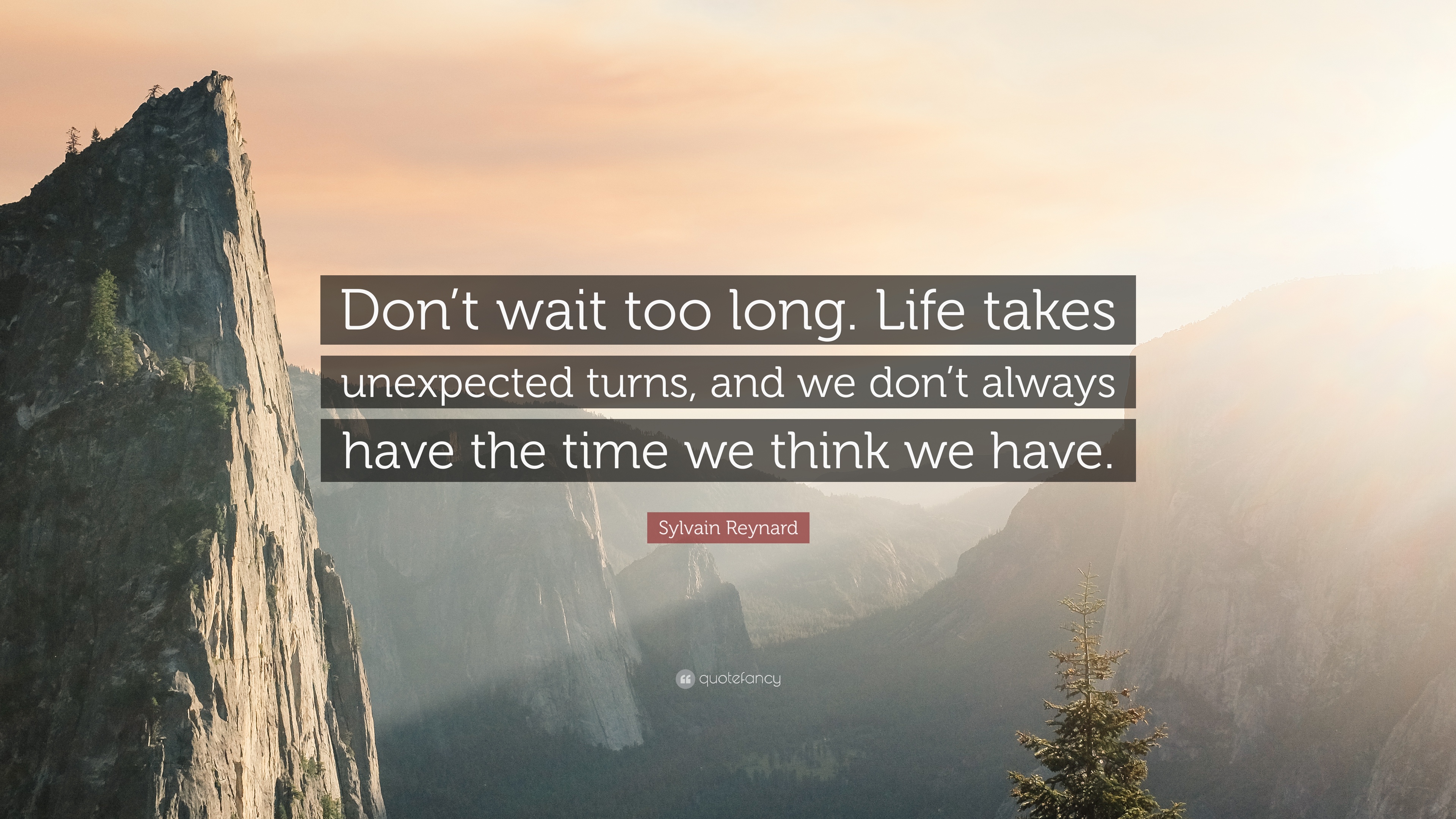 Sylvain Reynard Quote: “Don't wait too long. Life takes unexpected ...